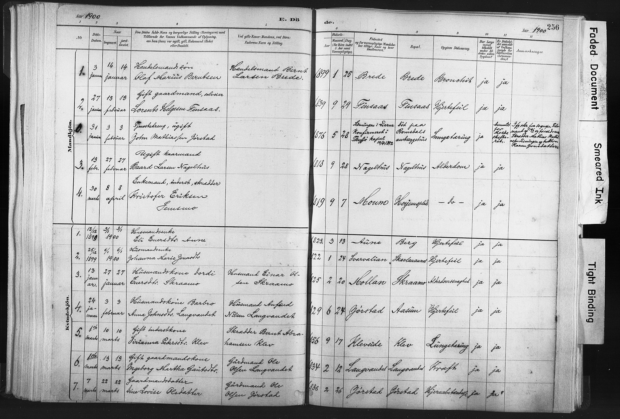 Ministerialprotokoller, klokkerbøker og fødselsregistre - Nord-Trøndelag, SAT/A-1458/749/L0474: Parish register (official) no. 749A08, 1887-1903, p. 256