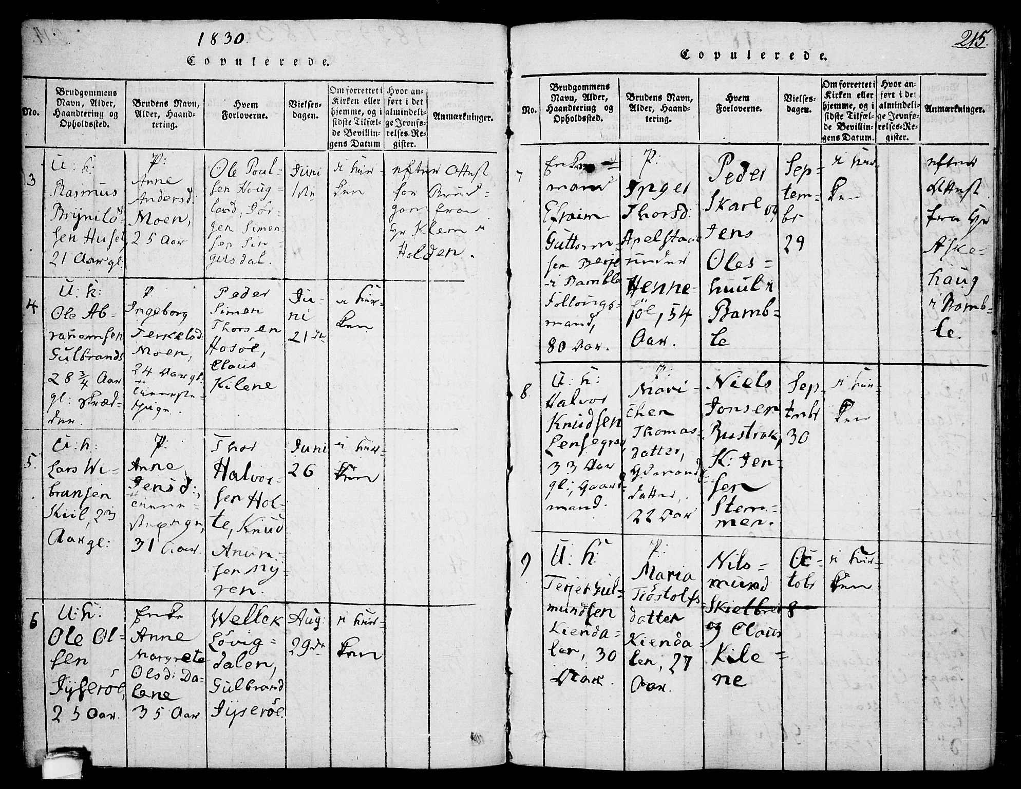 Drangedal kirkebøker, SAKO/A-258/F/Fa/L0005: Parish register (official) no. 5 /1, 1814-1831, p. 215
