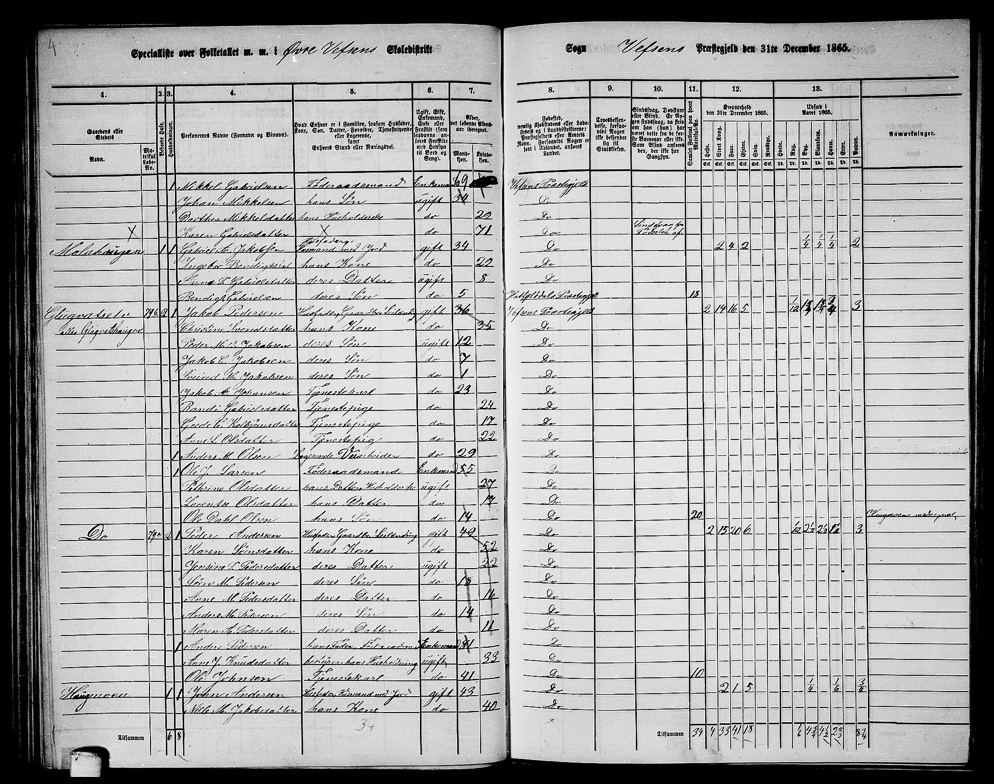 RA, 1865 census for Vefsn, 1865, p. 104