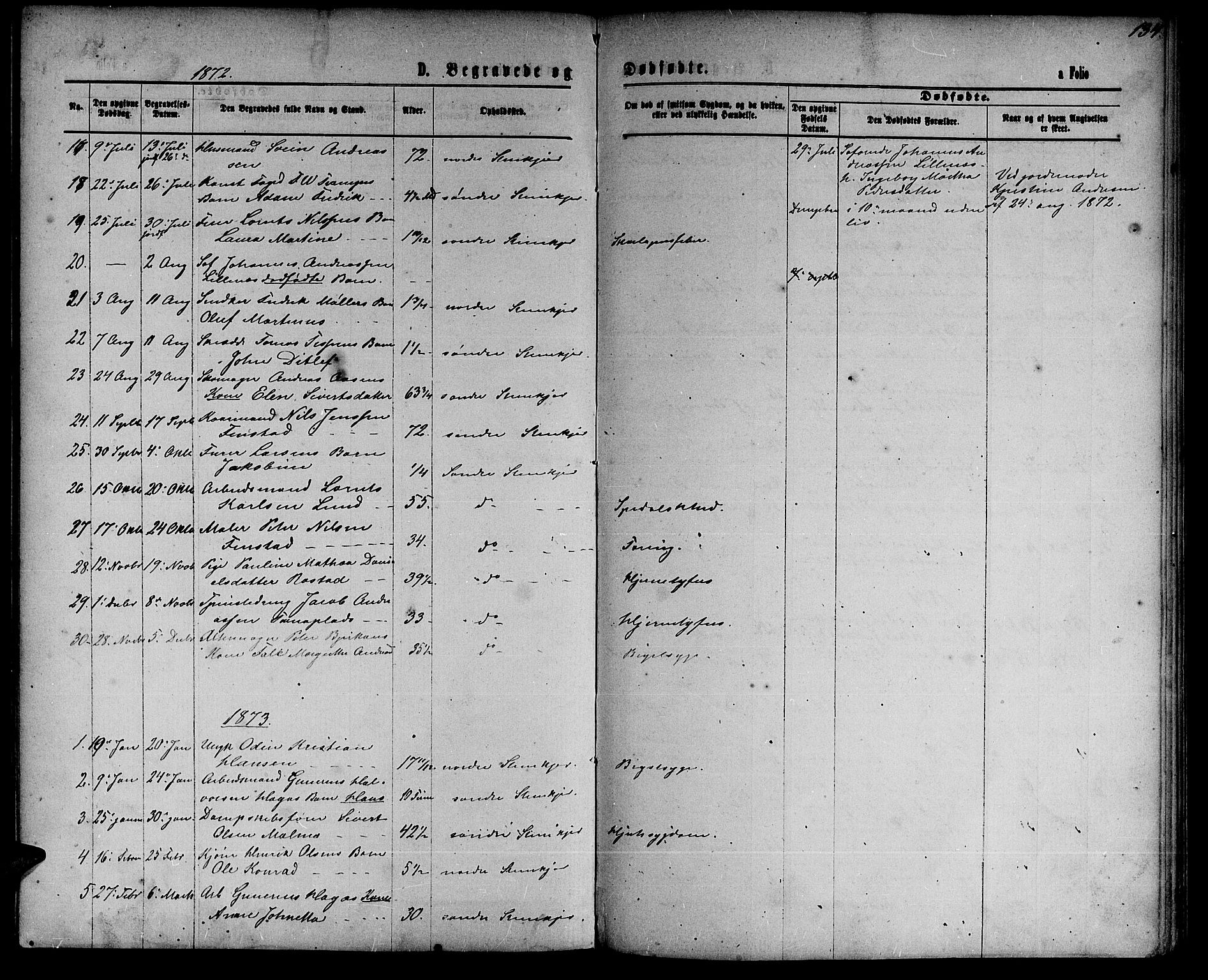 Ministerialprotokoller, klokkerbøker og fødselsregistre - Nord-Trøndelag, SAT/A-1458/739/L0373: Parish register (copy) no. 739C01, 1865-1882, p. 134
