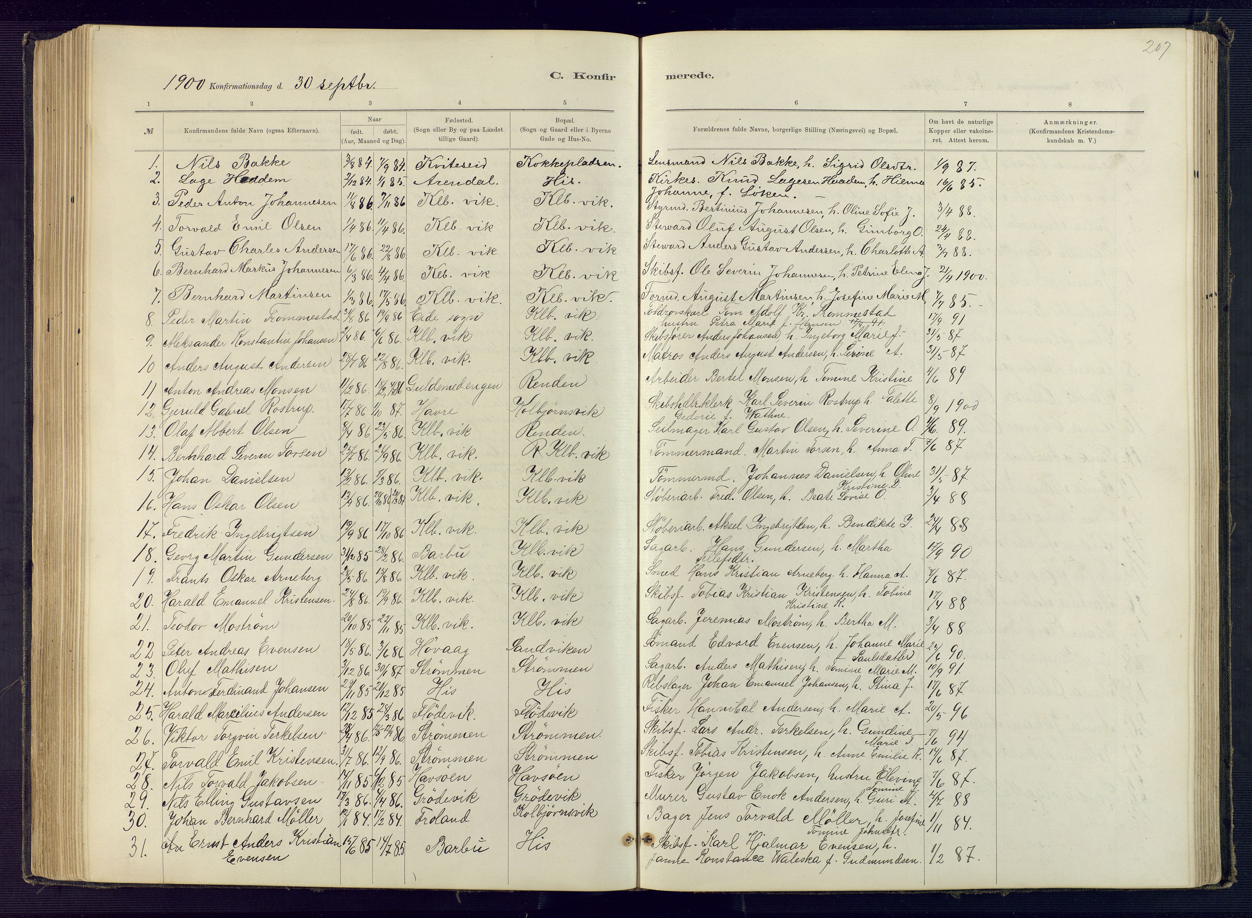 Hisøy sokneprestkontor, SAK/1111-0020/F/Fb/L0003: Parish register (copy) no. B 3, 1885-1905, p. 207