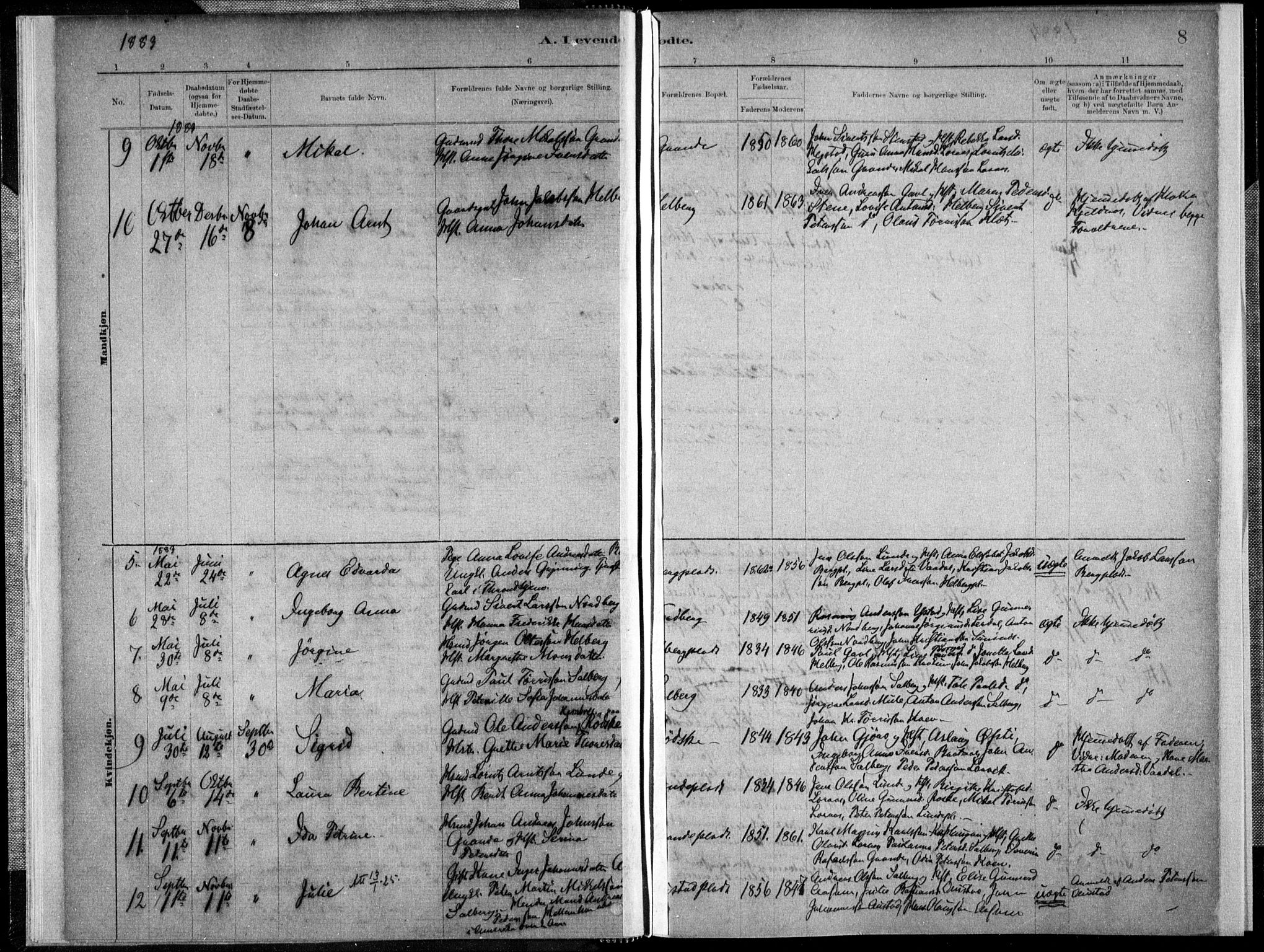 Ministerialprotokoller, klokkerbøker og fødselsregistre - Nord-Trøndelag, AV/SAT-A-1458/731/L0309: Parish register (official) no. 731A01, 1879-1918, p. 8