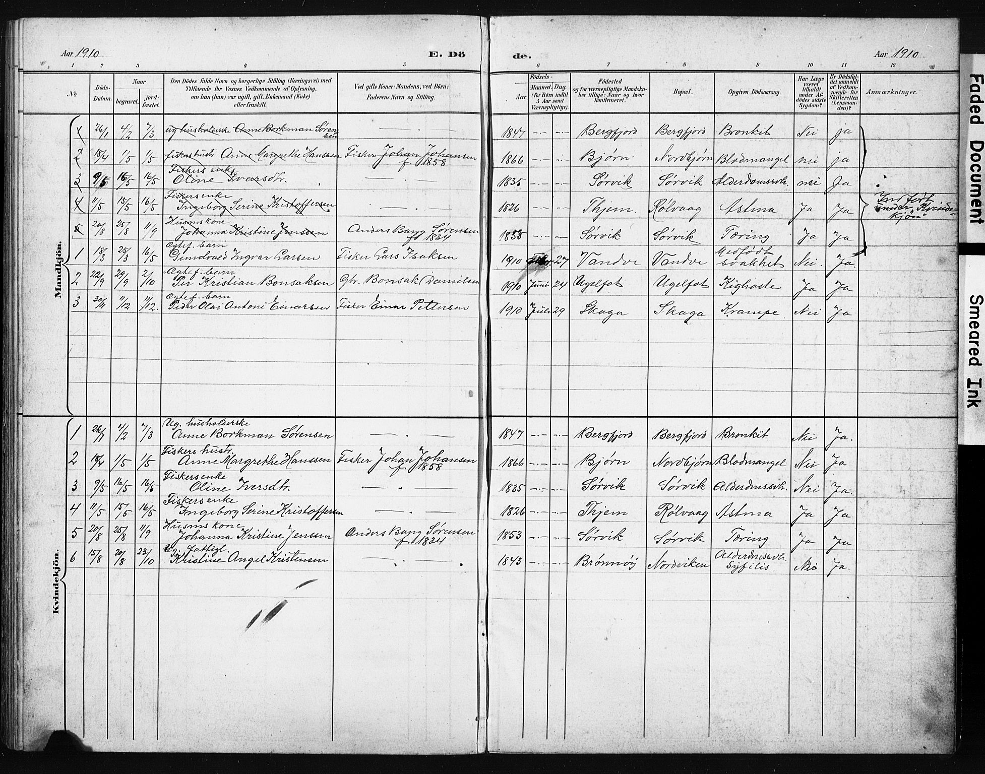 Ministerialprotokoller, klokkerbøker og fødselsregistre - Nordland, AV/SAT-A-1459/836/L0538: Parish register (copy) no. 836C02, 1901-1917