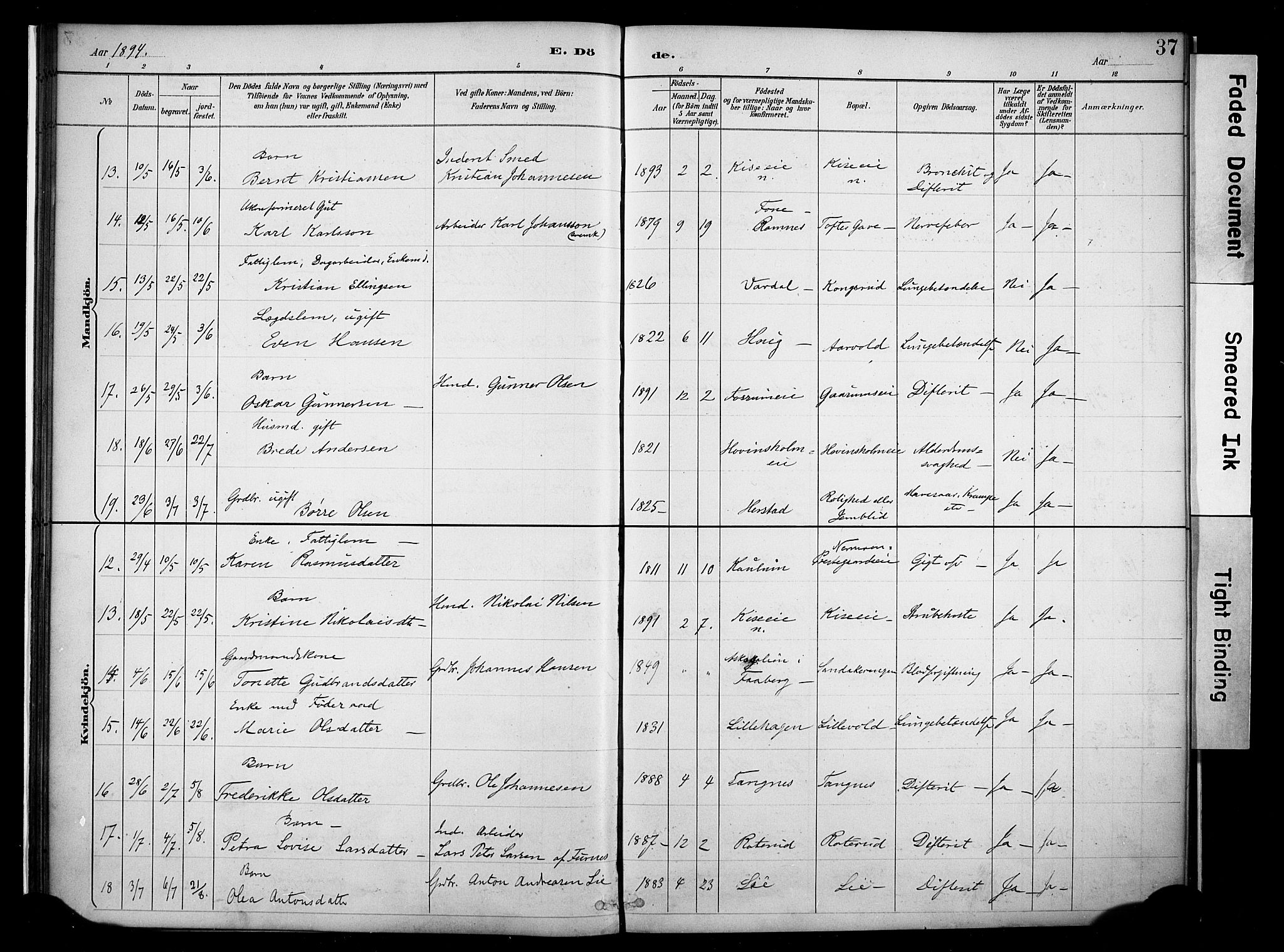 Nes prestekontor, Hedmark, AV/SAH-PREST-020/K/Ka/L0011: Parish register (official) no. 11, 1887-1905, p. 37