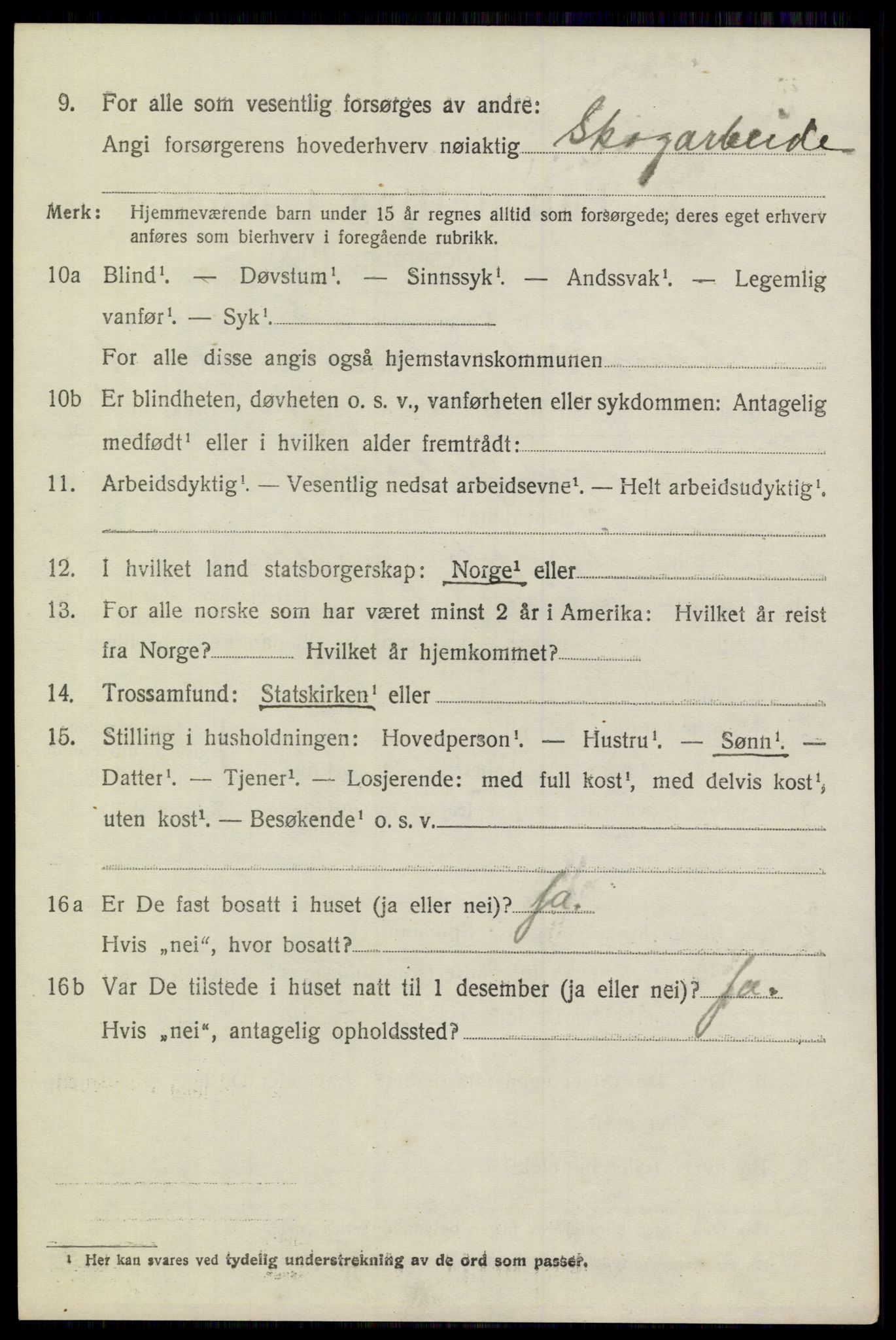 SAKO, 1920 census for Sannidal, 1920, p. 1036