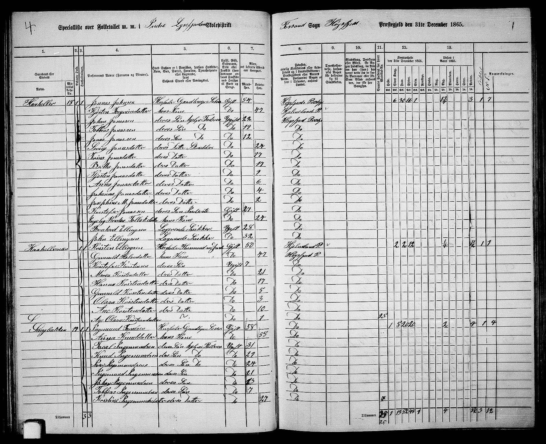 RA, 1865 census for Høgsfjord, 1865, p. 29