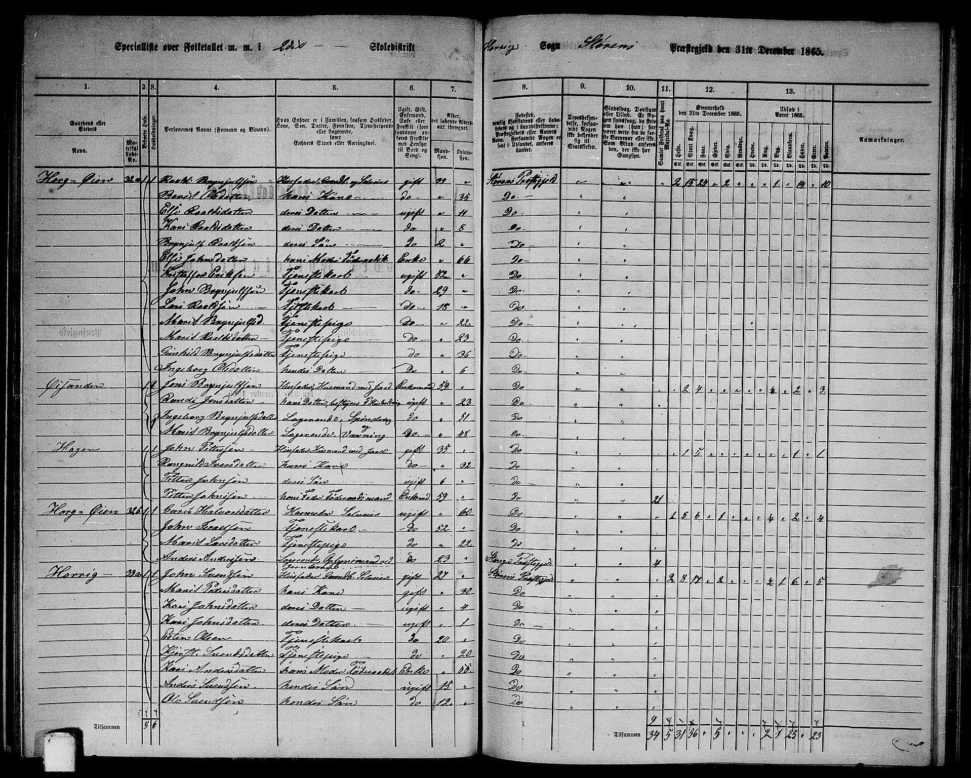 RA, 1865 census for Støren, 1865, p. 134