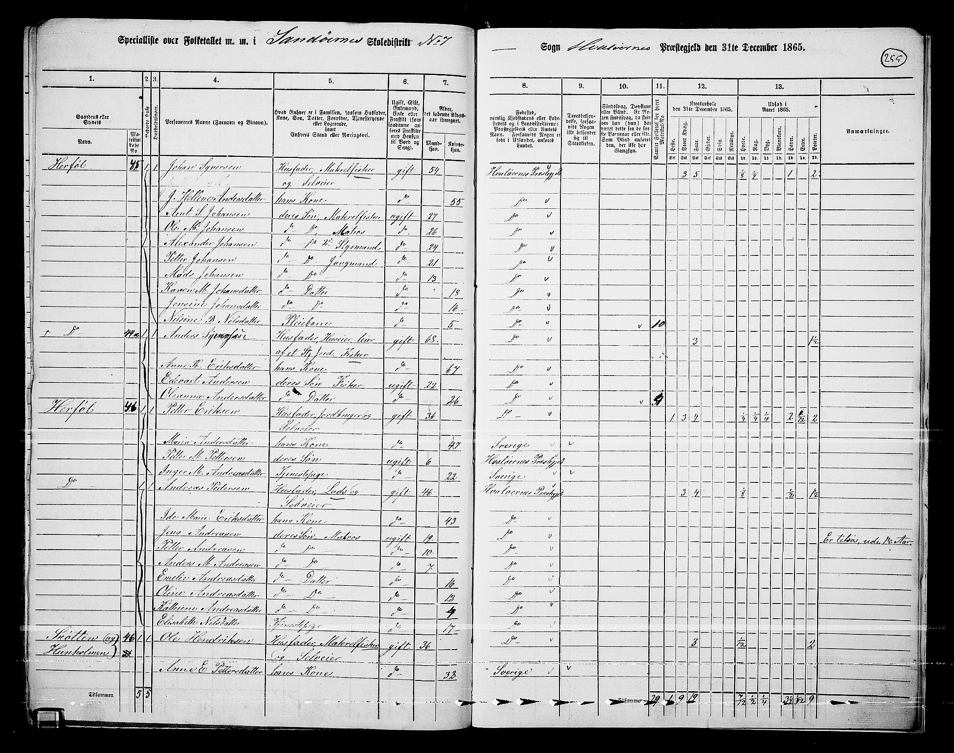 RA, 1865 census for Hvaler, 1865, p. 88