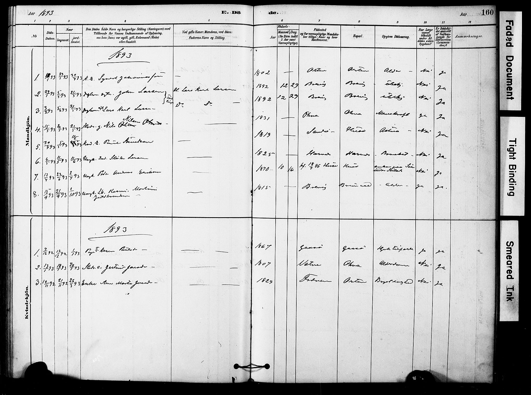 Ministerialprotokoller, klokkerbøker og fødselsregistre - Møre og Romsdal, AV/SAT-A-1454/561/L0729: Parish register (official) no. 561A03, 1878-1900, p. 160