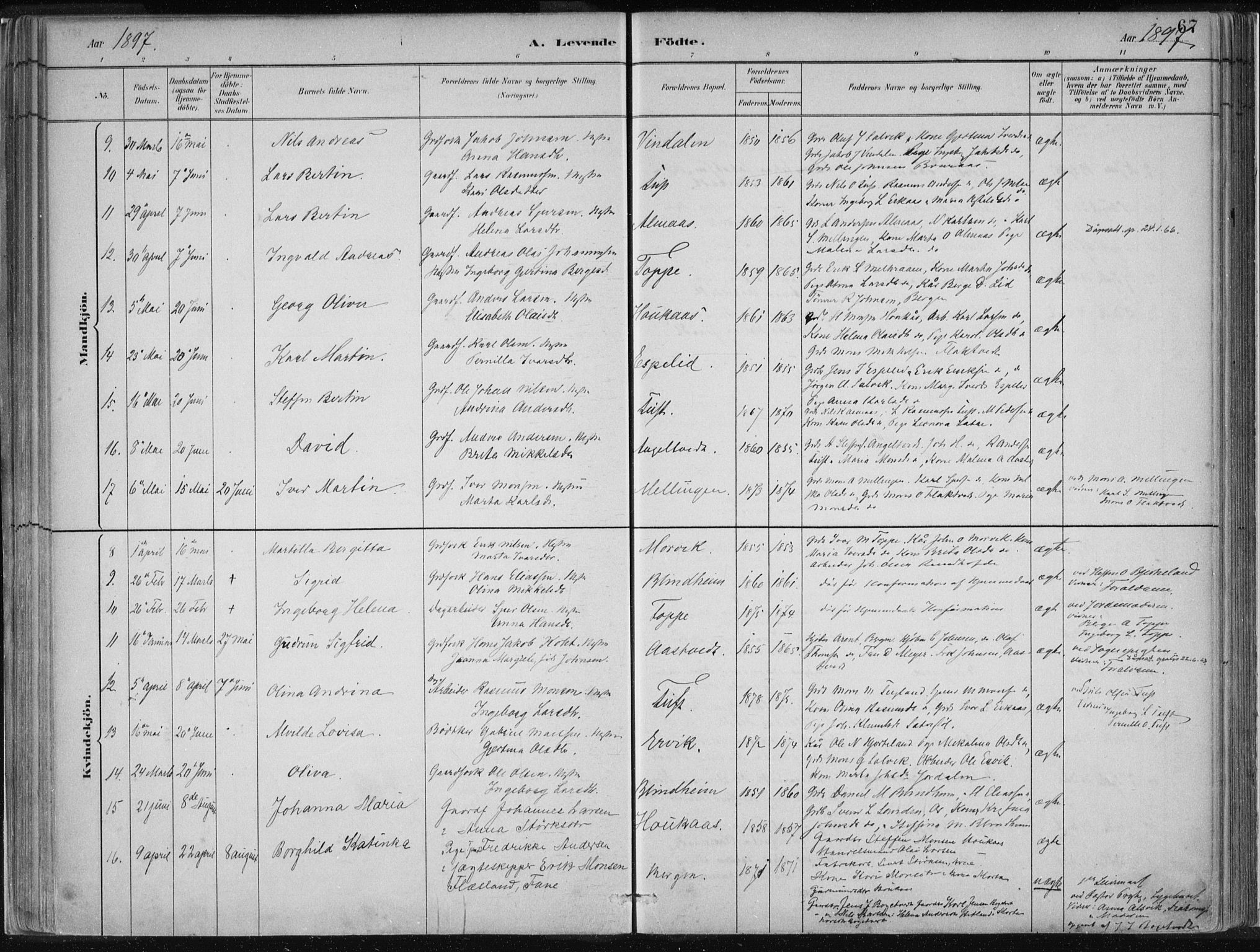 Hamre sokneprestembete, AV/SAB-A-75501/H/Ha/Haa/Haad/L0001: Parish register (official) no. D  1, 1882-1906, p. 67