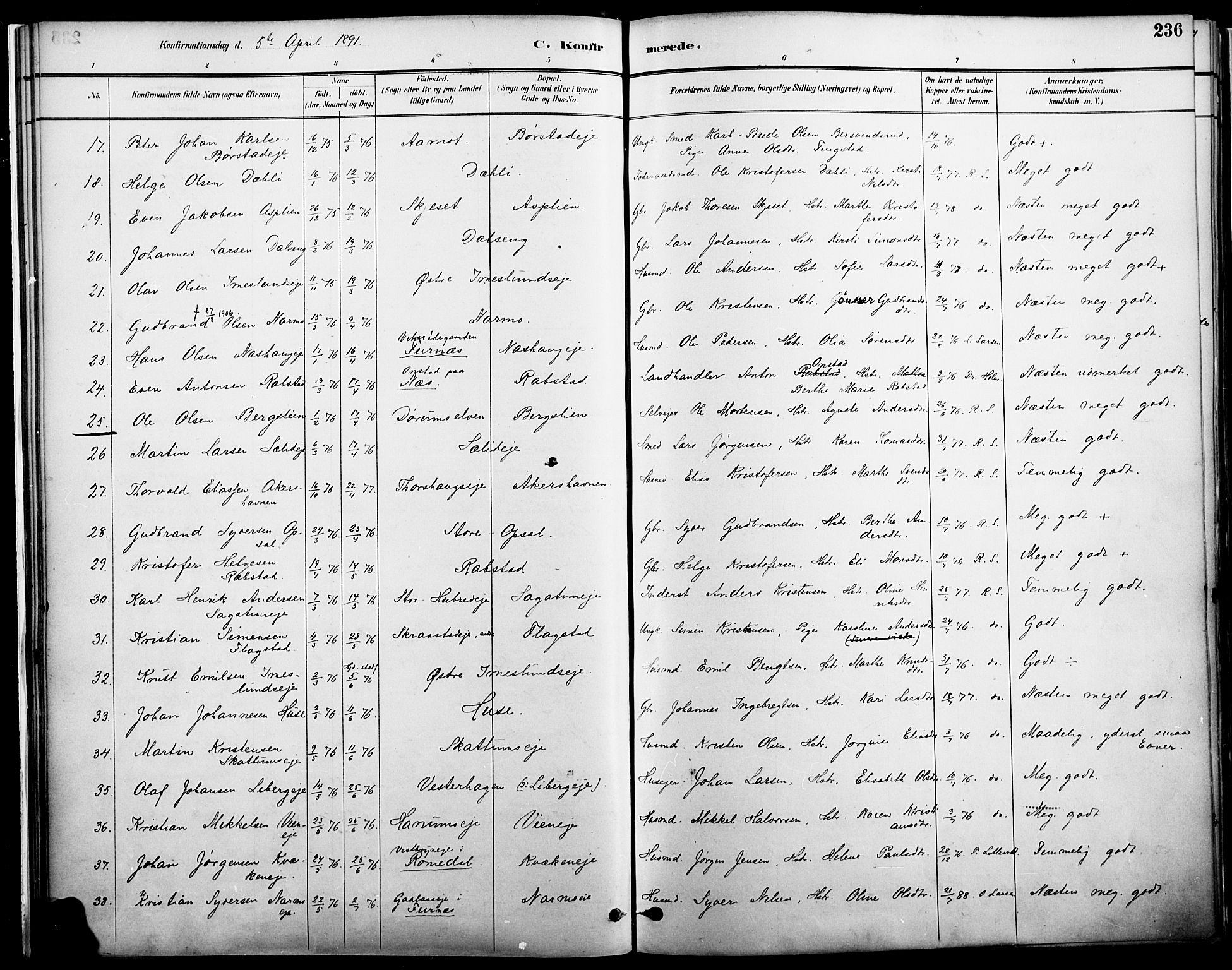 Vang prestekontor, Hedmark, AV/SAH-PREST-008/H/Ha/Haa/L0019A: Parish register (official) no. 19, 1886-1900, p. 236