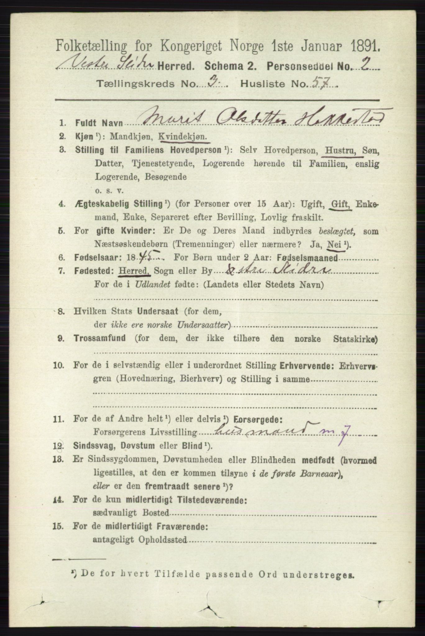 RA, 1891 census for 0543 Vestre Slidre, 1891, p. 1171