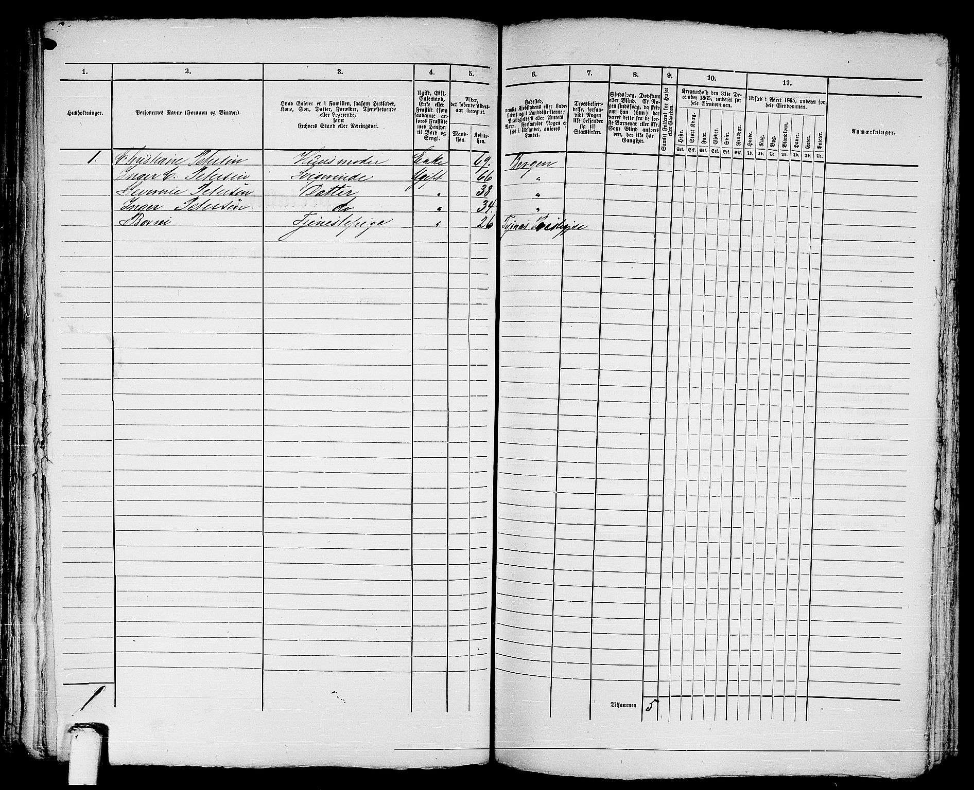 RA, 1865 census for Bergen, 1865, p. 1260