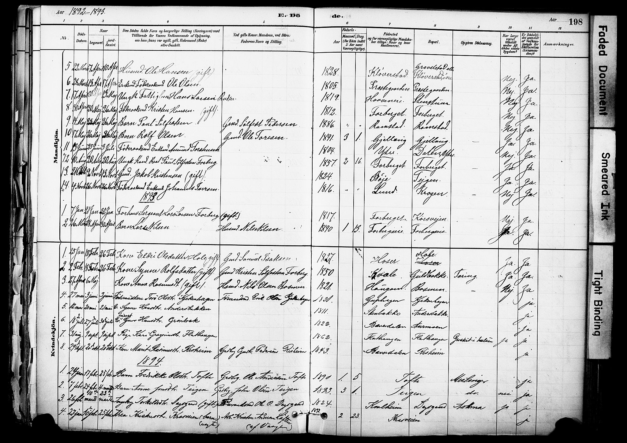 Skjåk prestekontor, SAH/PREST-072/H/Ha/Haa/L0003: Parish register (official) no. 3, 1880-1907, p. 198