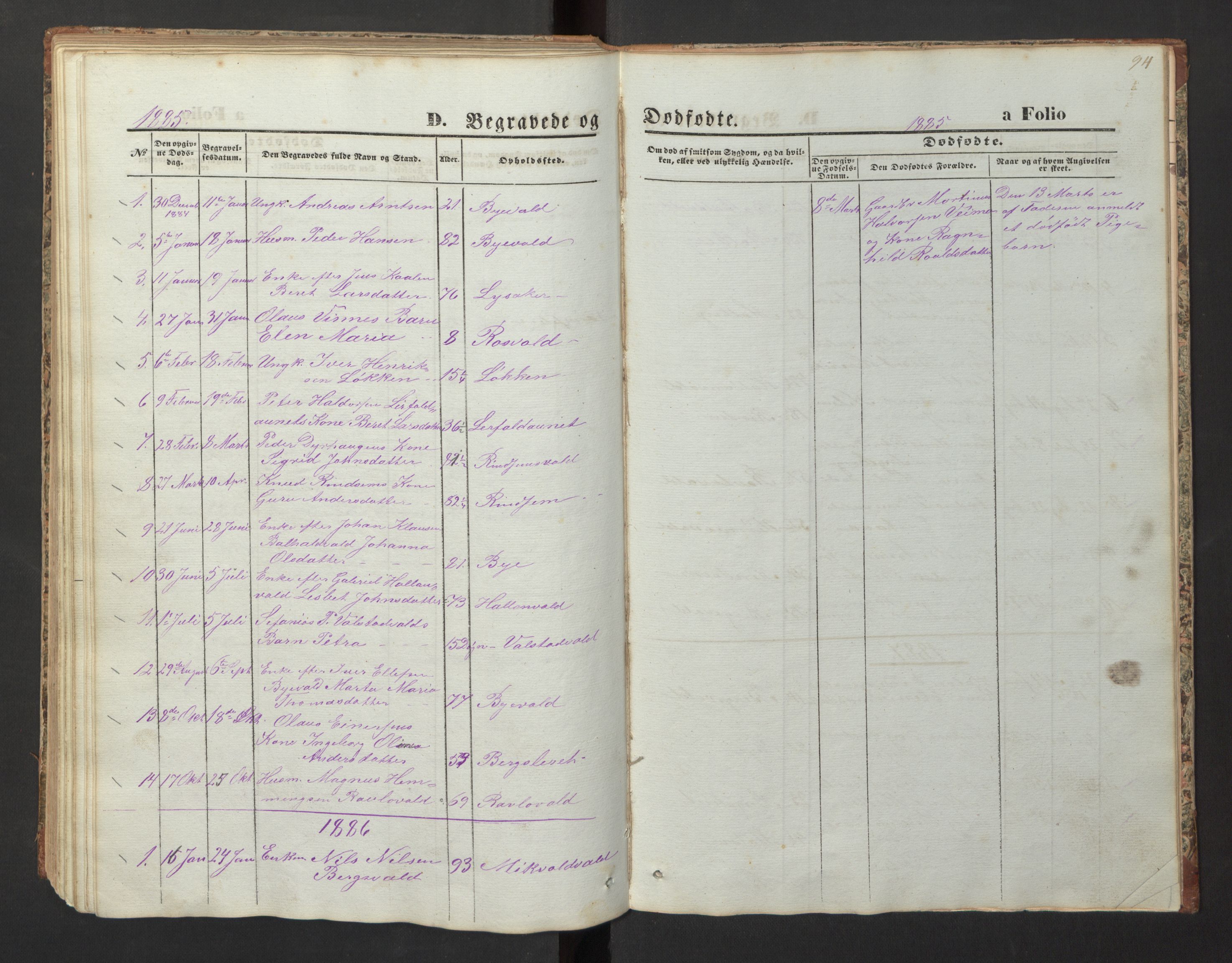 Ministerialprotokoller, klokkerbøker og fødselsregistre - Nord-Trøndelag, SAT/A-1458/726/L0271: Parish register (copy) no. 726C02, 1869-1897, p. 94
