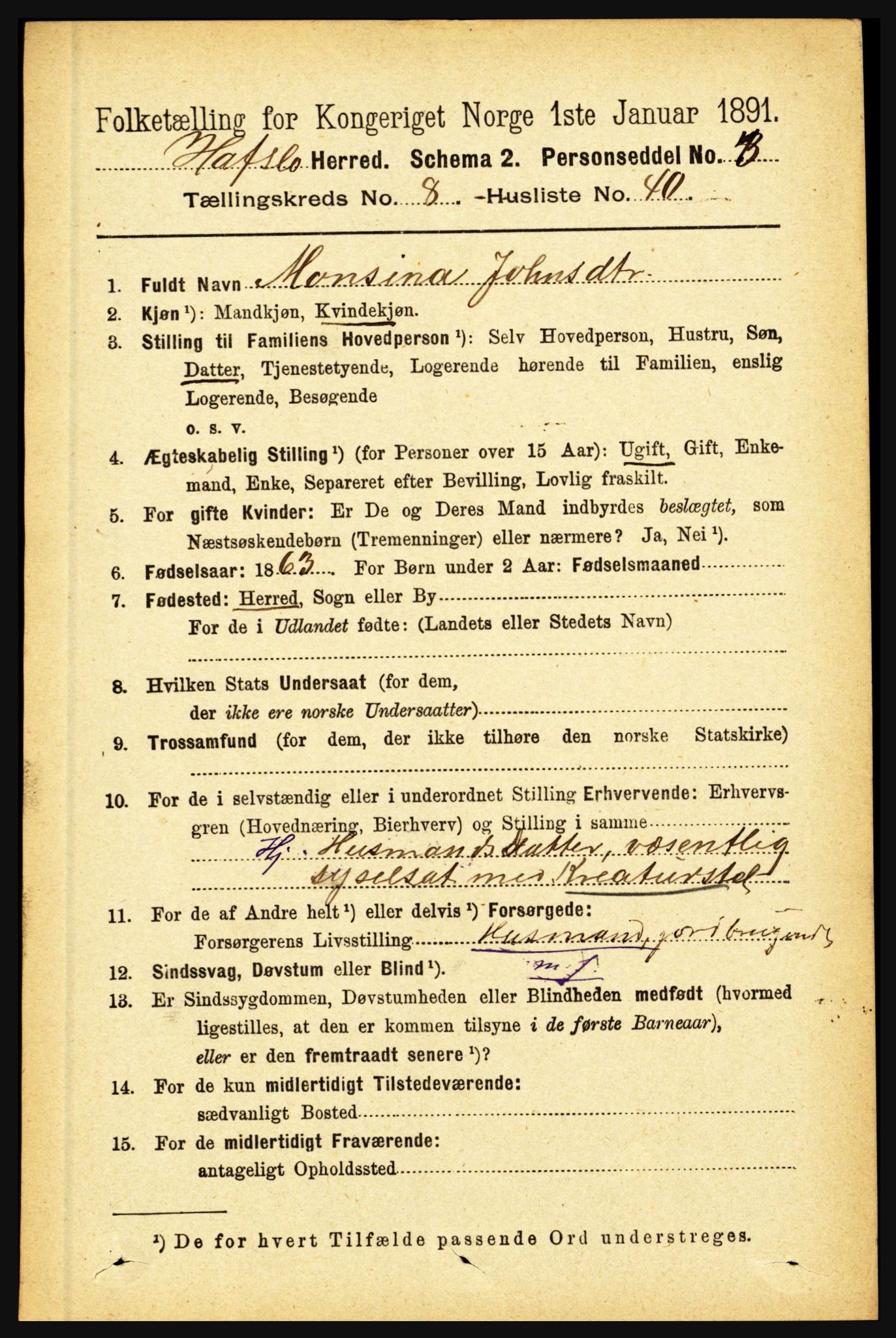 RA, 1891 census for 1425 Hafslo, 1891, p. 3390