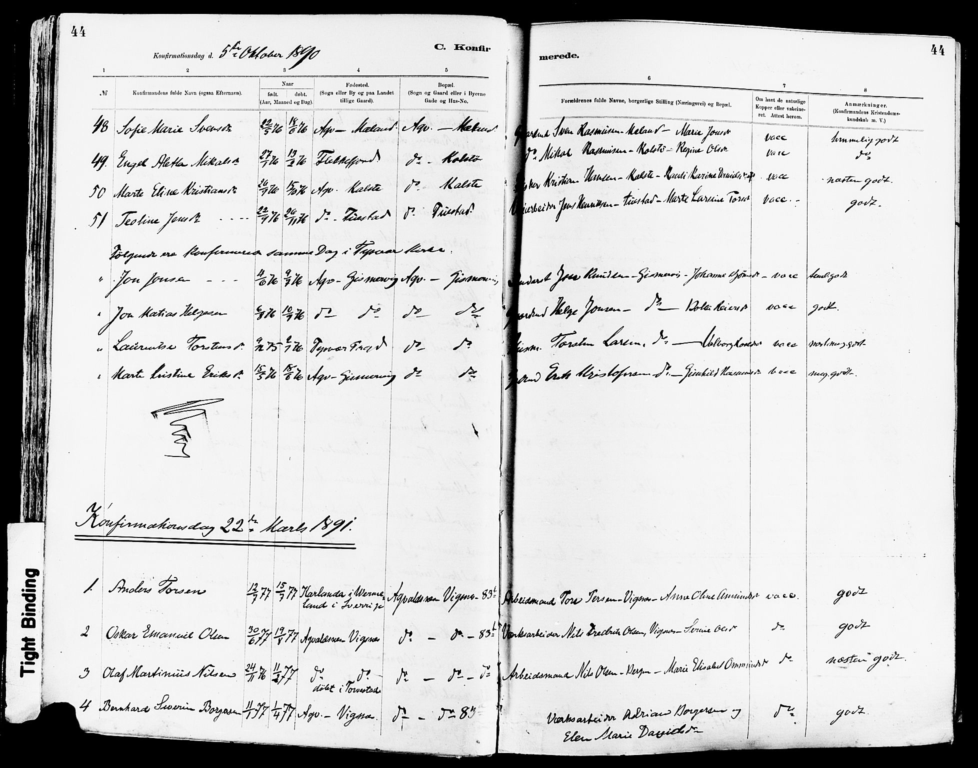 Avaldsnes sokneprestkontor, AV/SAST-A -101851/H/Ha/Haa/L0015: Parish register (official) no. A 15, 1880-1906, p. 44