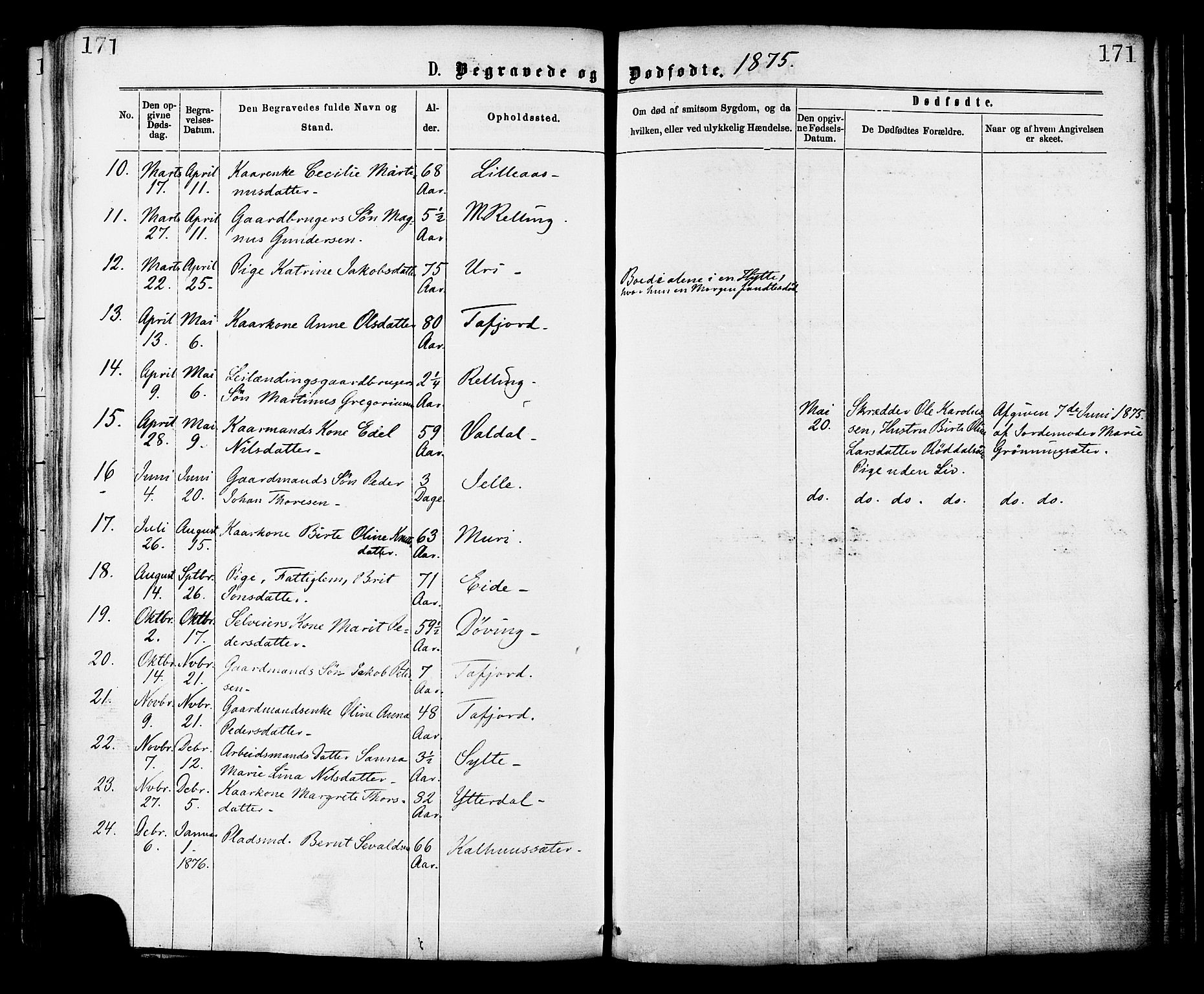 Ministerialprotokoller, klokkerbøker og fødselsregistre - Møre og Romsdal, AV/SAT-A-1454/519/L0254: Parish register (official) no. 519A13, 1868-1883, p. 171