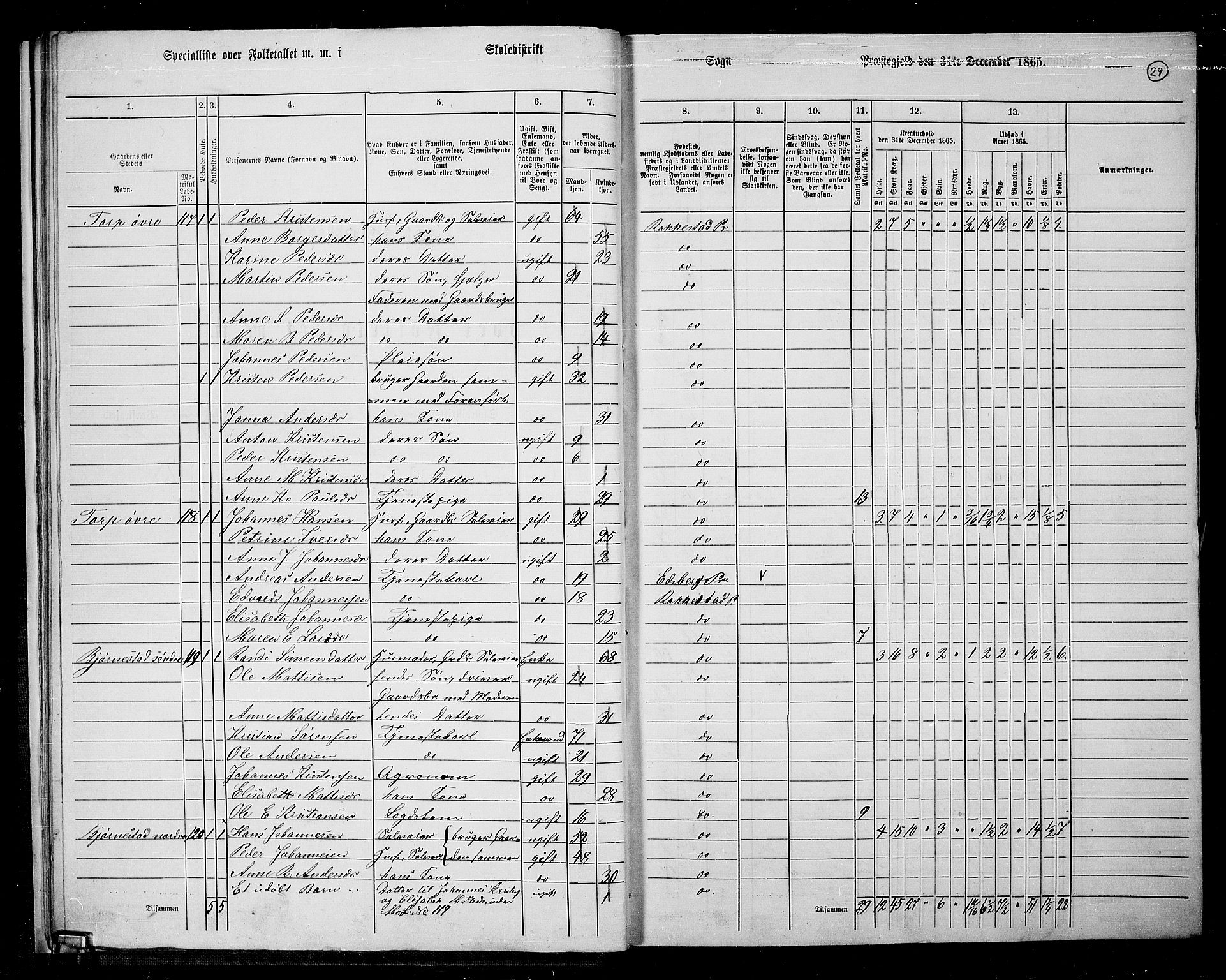 RA, 1865 census for Rakkestad, 1865, p. 30