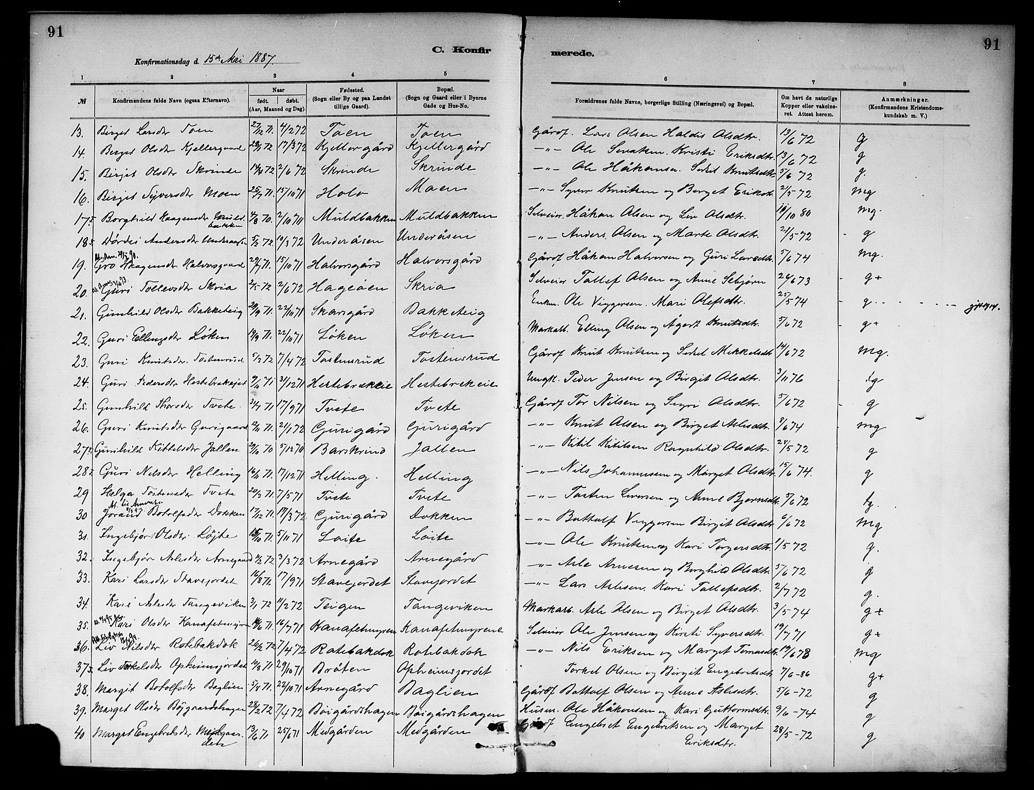 Ål kirkebøker, AV/SAKO-A-249/F/Fa/L0008: Parish register (official) no. I 8, 1882-1896, p. 91