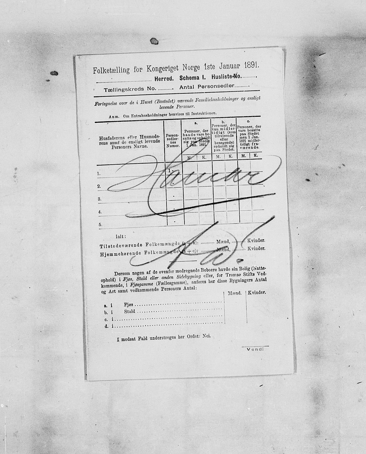 SAH, 1900 census for Hamar, 1900, p. 30