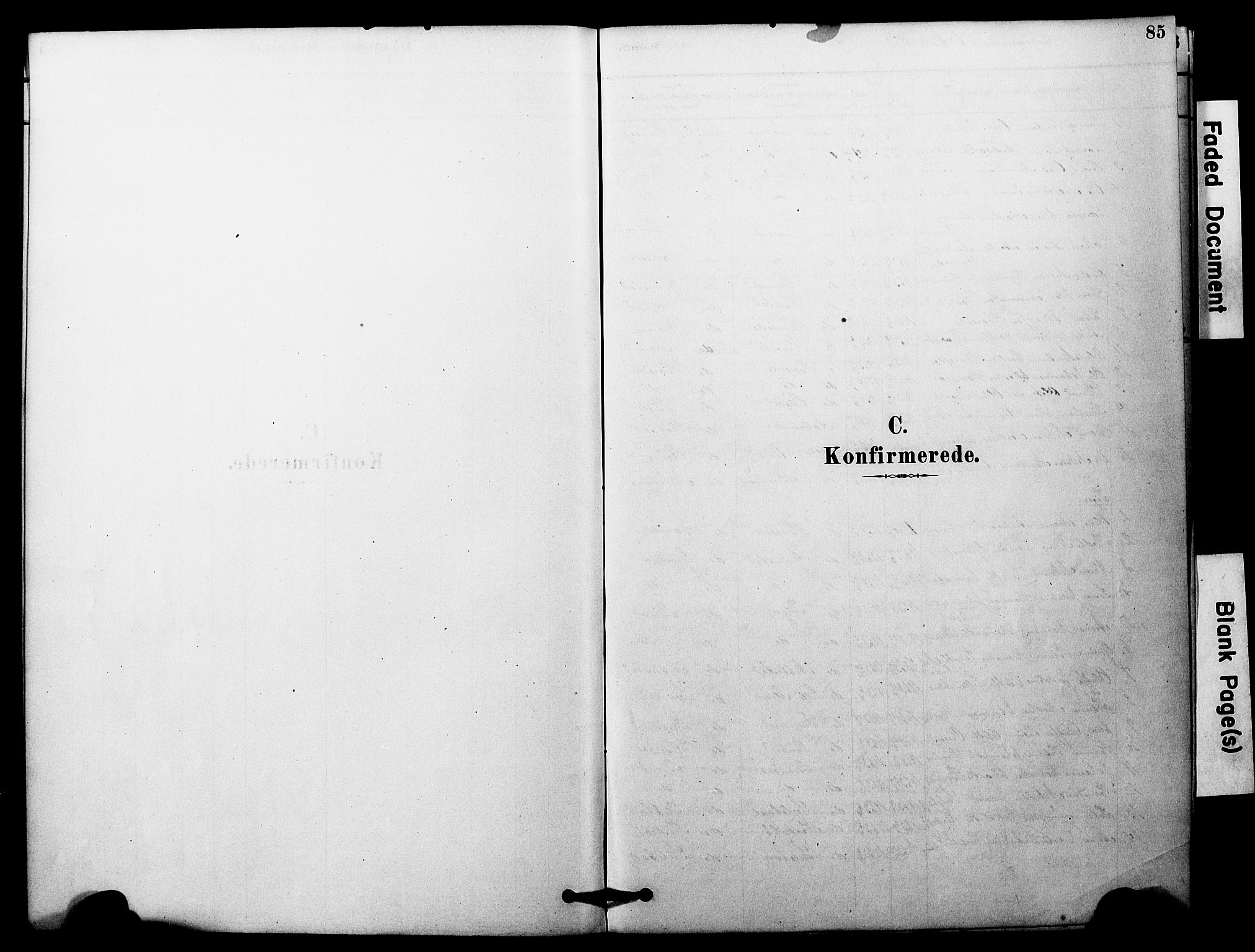 Ministerialprotokoller, klokkerbøker og fødselsregistre - Møre og Romsdal, SAT/A-1454/510/L0122: Parish register (official) no. 510A02, 1878-1897, p. 85