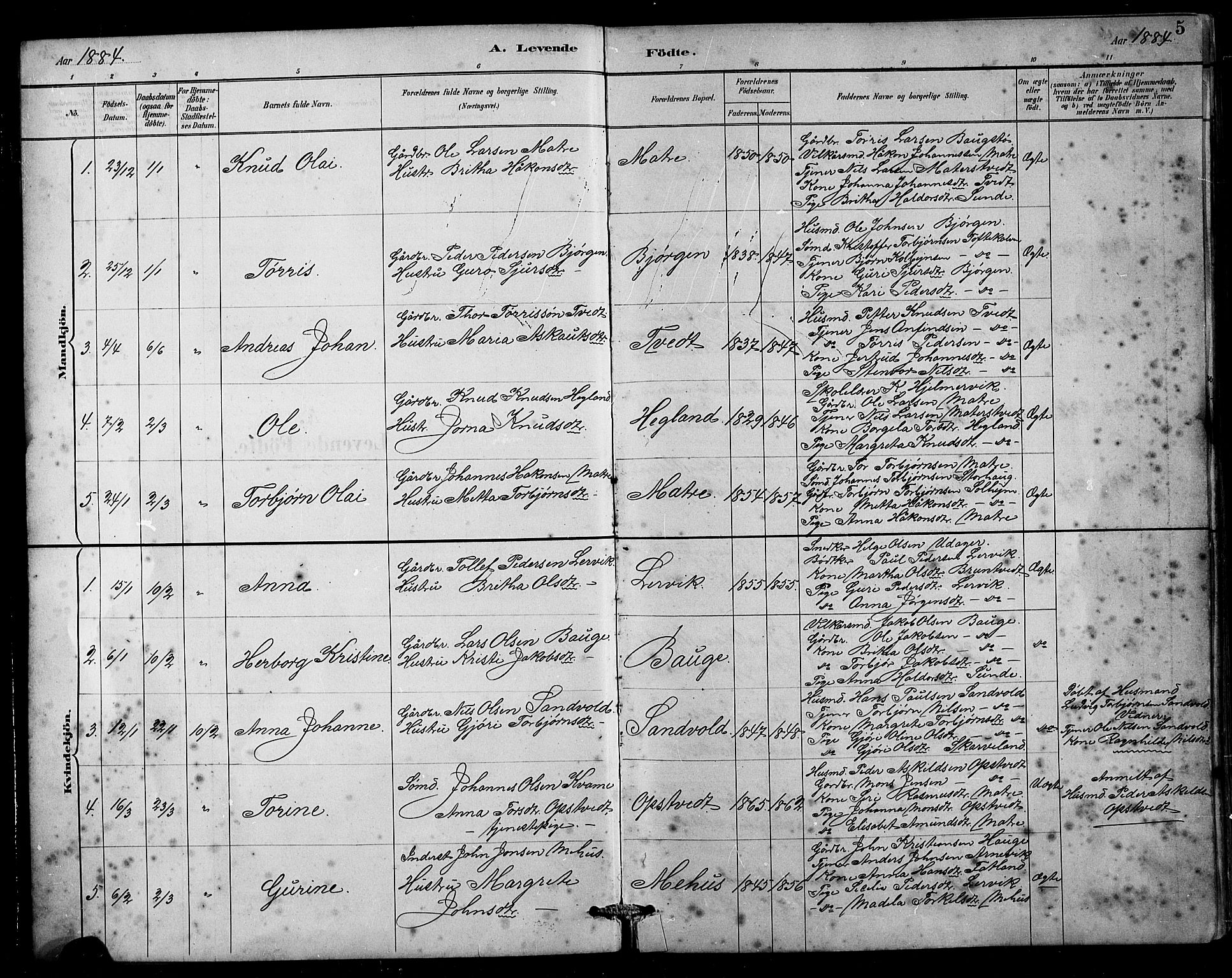 Husnes Sokneprestembete, SAB/A-75901/H/Hab: Parish register (copy) no. B 2, 1884-1914, p. 5