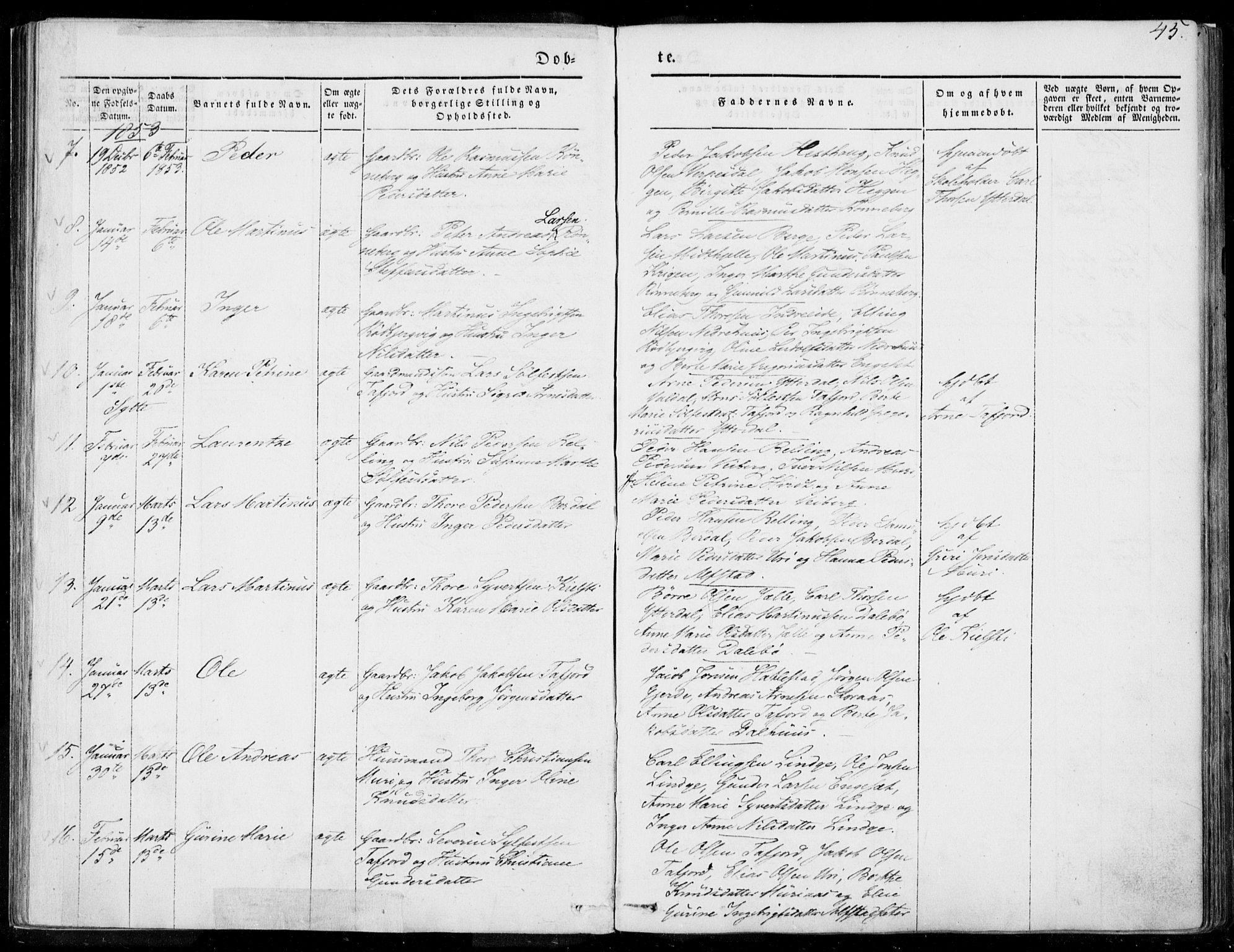 Ministerialprotokoller, klokkerbøker og fødselsregistre - Møre og Romsdal, AV/SAT-A-1454/519/L0249: Parish register (official) no. 519A08, 1846-1868, p. 45