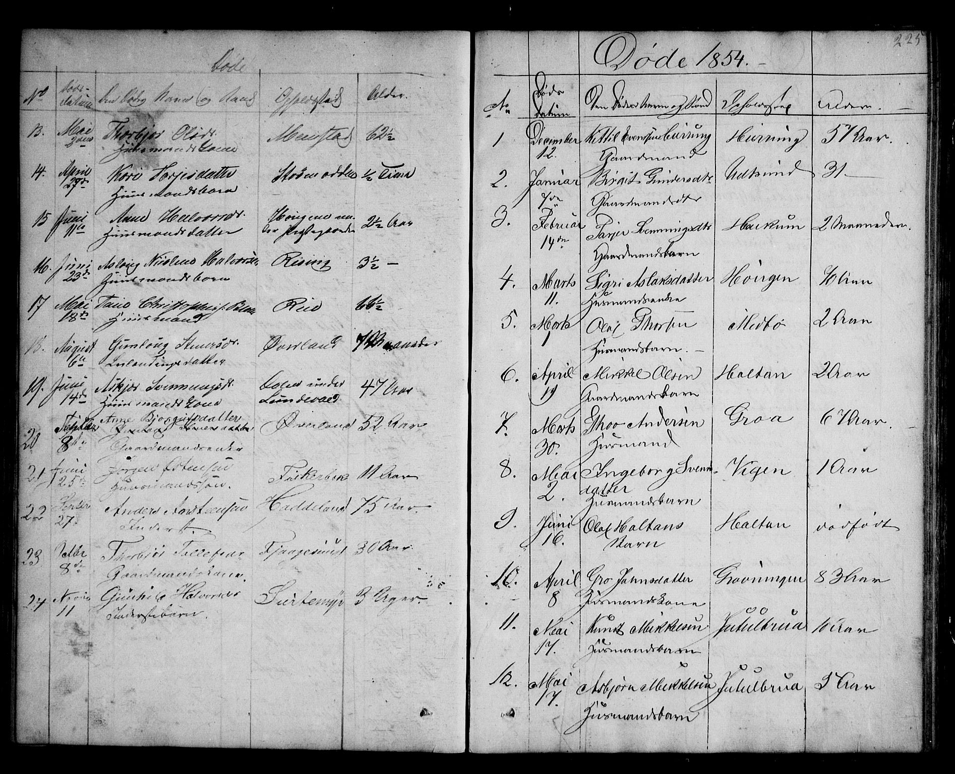 Kviteseid kirkebøker, SAKO/A-276/G/Ga/L0001: Parish register (copy) no. I 1, 1850-1893, p. 225
