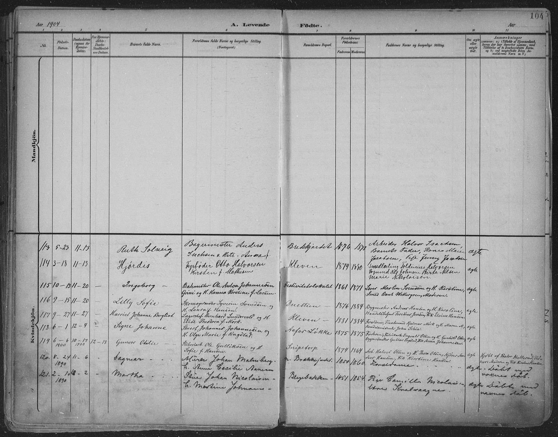 Skien kirkebøker, SAKO/A-302/F/Fa/L0011: Parish register (official) no. 11, 1900-1907, p. 104