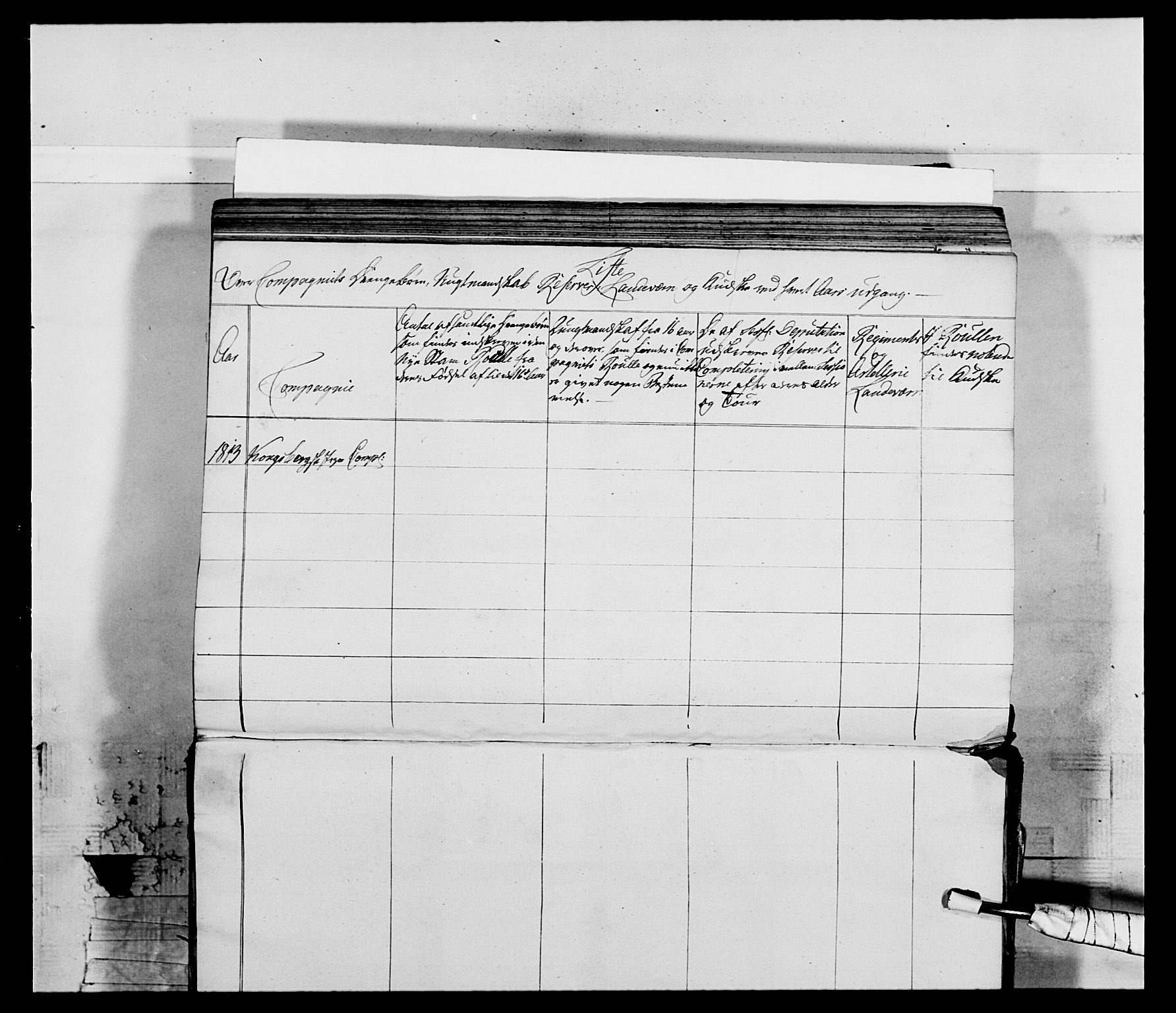 Generalitets- og kommissariatskollegiet, Det kongelige norske kommissariatskollegium, AV/RA-EA-5420/E/Eh/L0117: Telemarkske nasjonale infanteriregiment, 1812-1814, p. 206