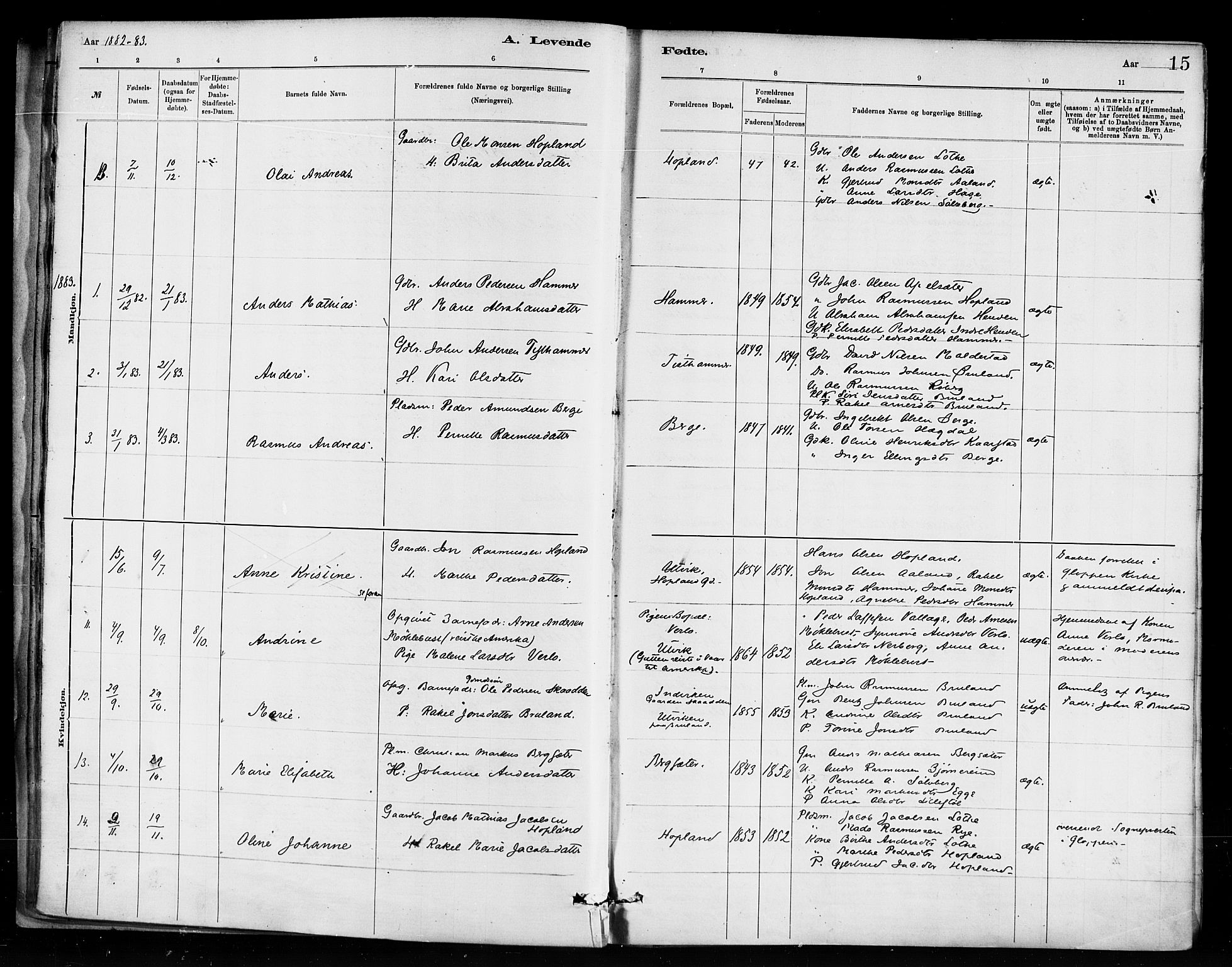 Innvik sokneprestembete, SAB/A-80501: Parish register (official) no. D 1, 1879-1900, p. 15