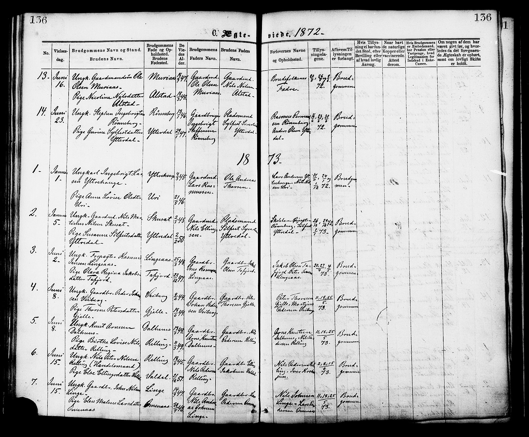 Ministerialprotokoller, klokkerbøker og fødselsregistre - Møre og Romsdal, SAT/A-1454/519/L0254: Parish register (official) no. 519A13, 1868-1883, p. 136