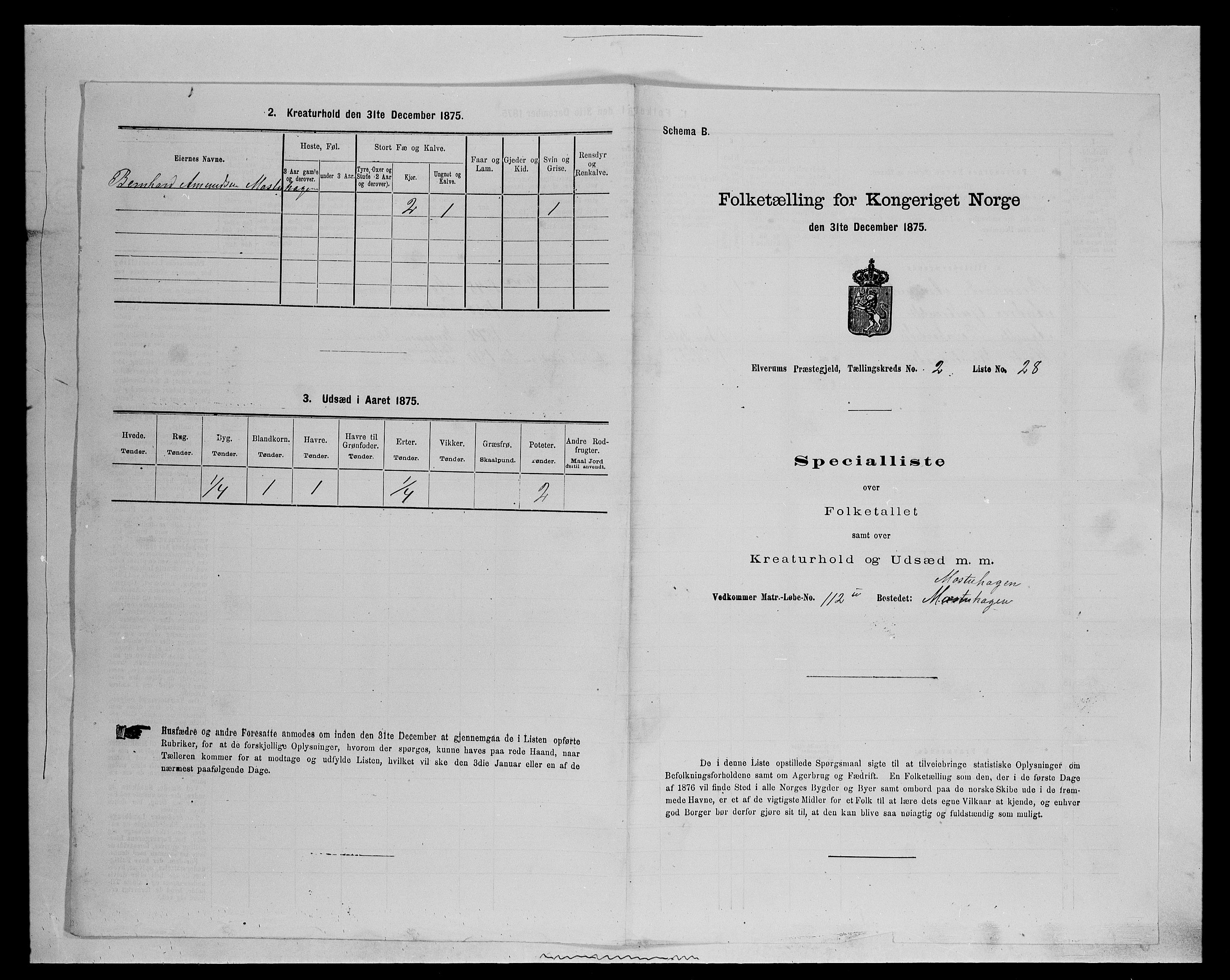 SAH, 1875 census for 0427P Elverum, 1875, p. 551