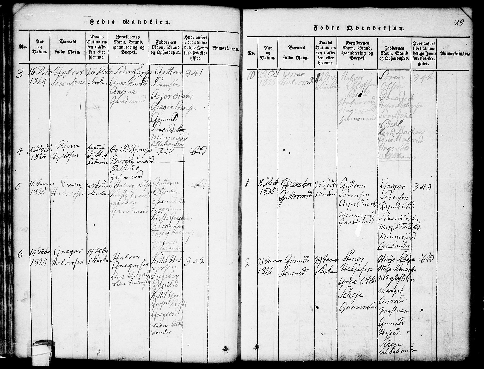 Seljord kirkebøker, SAKO/A-20/G/Gb/L0002: Parish register (copy) no. II 2, 1815-1854, p. 29