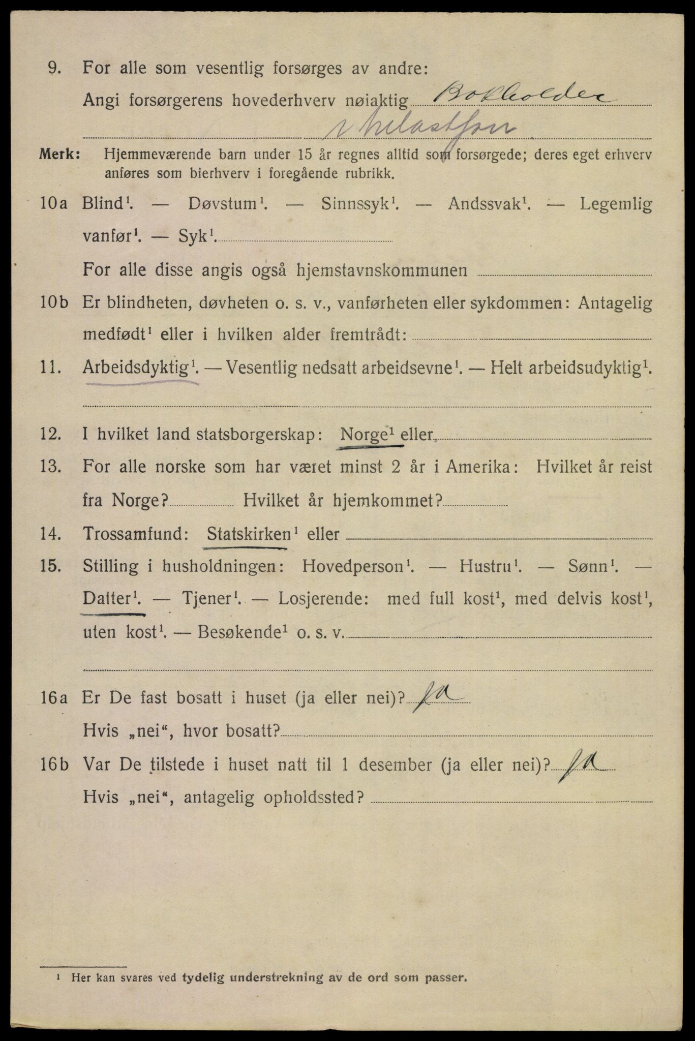 SAKO, 1920 census for Skien, 1920, p. 41013