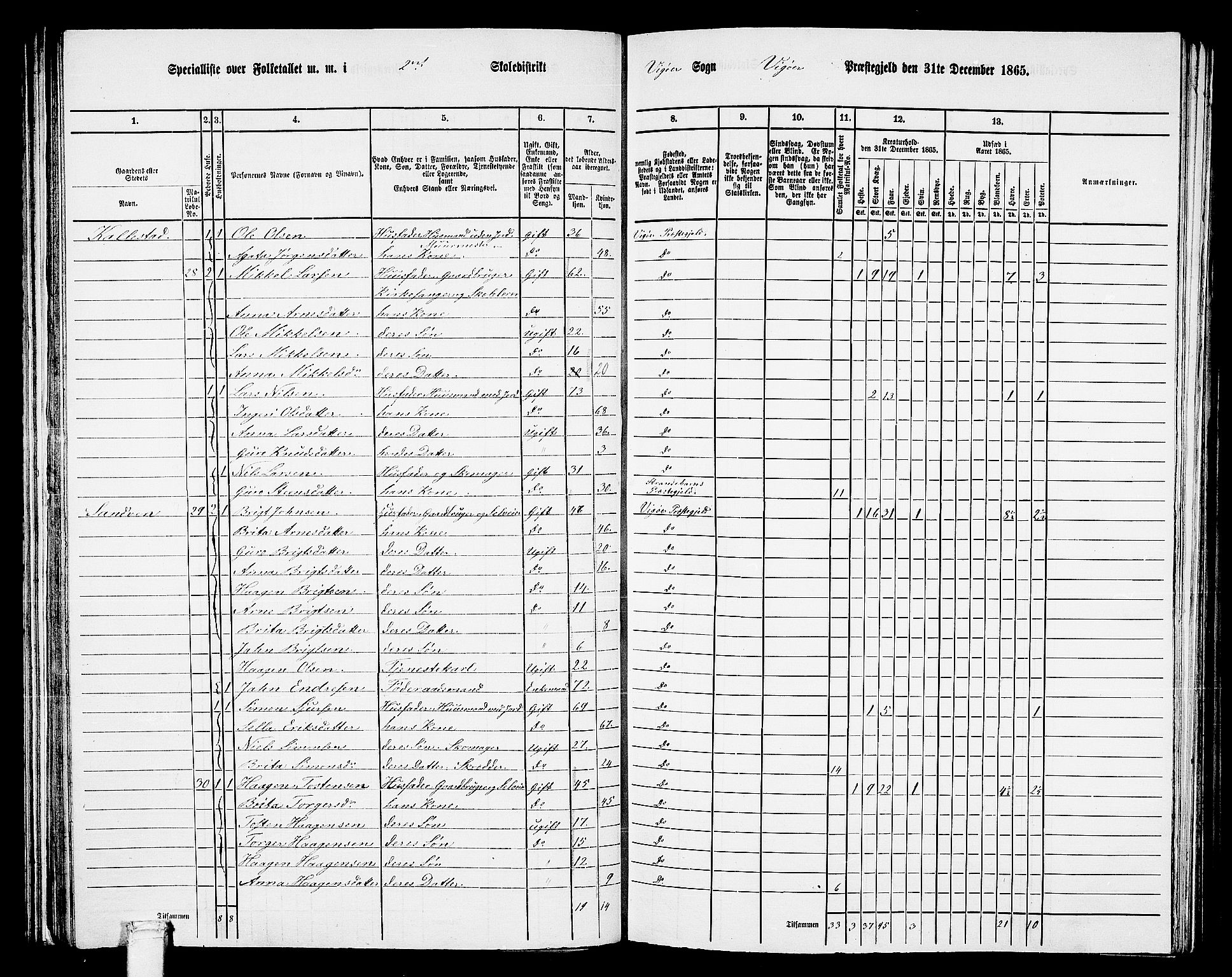 RA, 1865 census for Vikør, 1865, p. 21