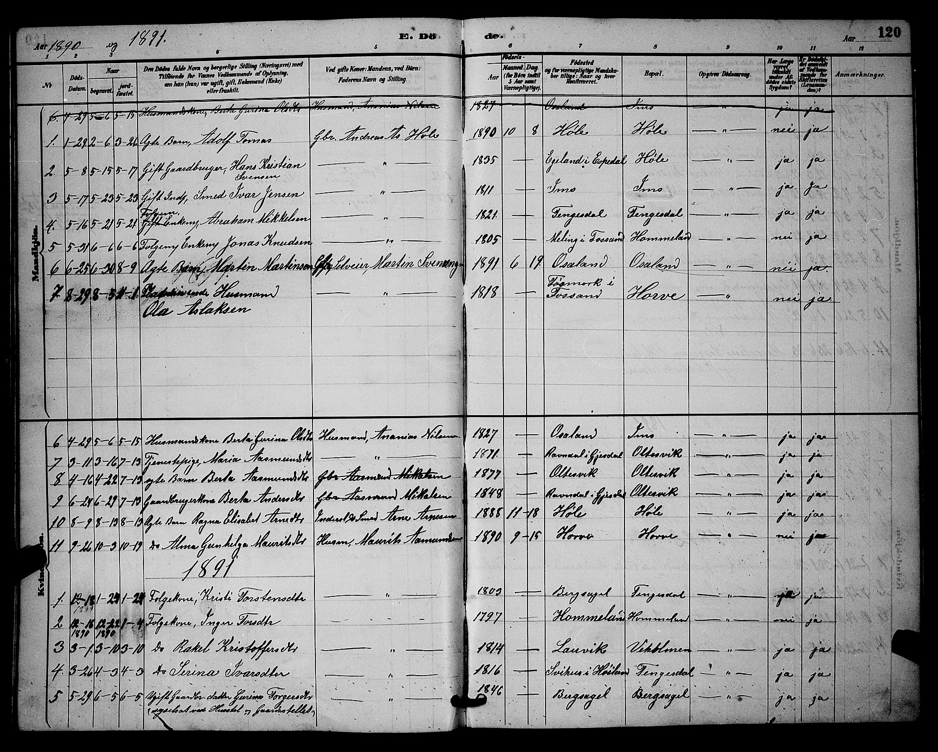 Høgsfjord sokneprestkontor, AV/SAST-A-101624/H/Ha/Hab/L0003: Parish register (copy) no. B 3, 1886-1905, p. 120