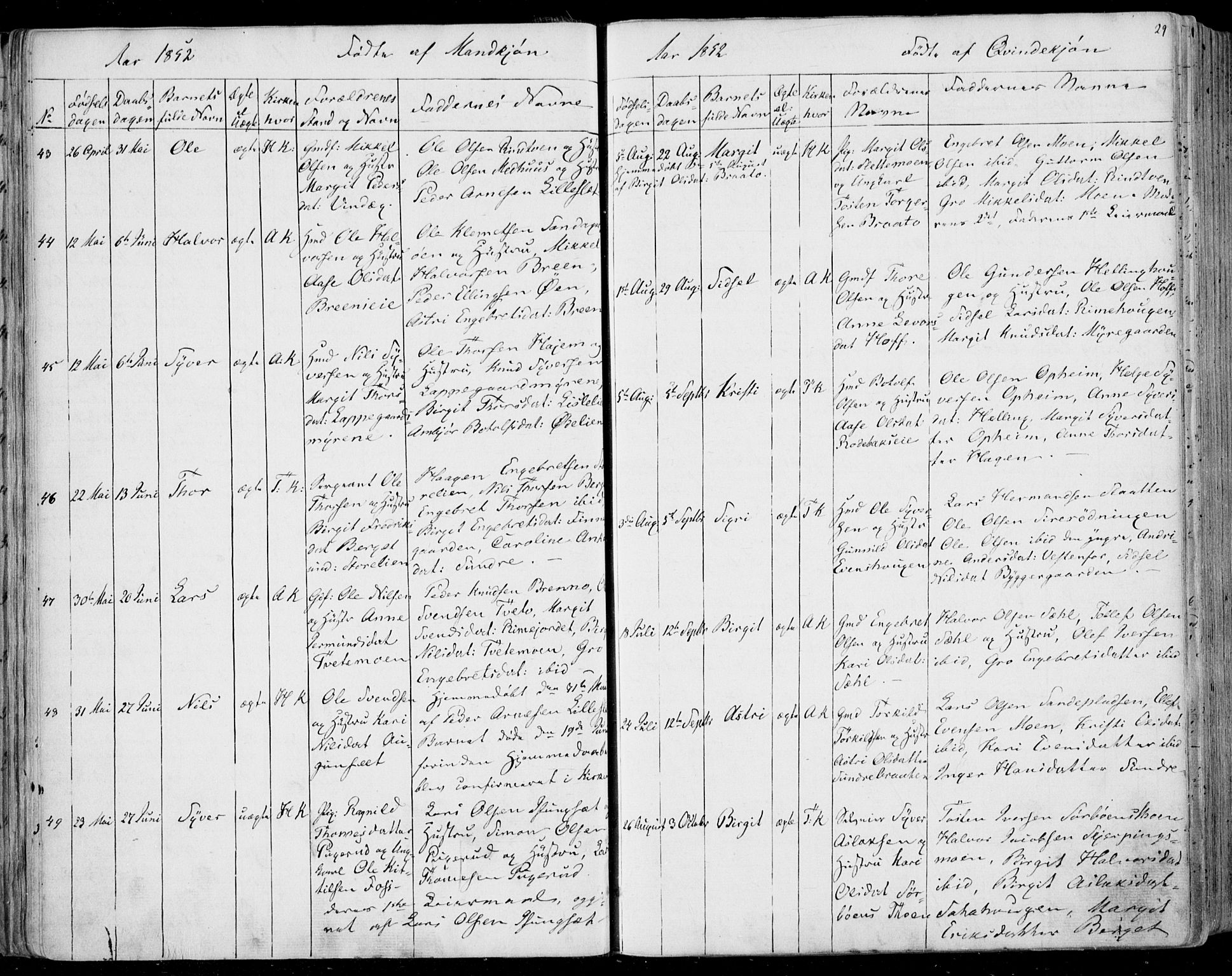Ål kirkebøker, AV/SAKO-A-249/F/Fa/L0006: Parish register (official) no. I 6, 1849-1864, p. 29