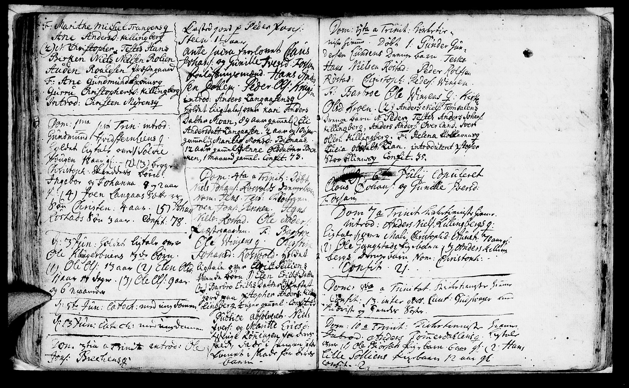 Ministerialprotokoller, klokkerbøker og fødselsregistre - Nord-Trøndelag, AV/SAT-A-1458/701/L0002: Parish register (official) no. 701A02 /1, 1738-1752