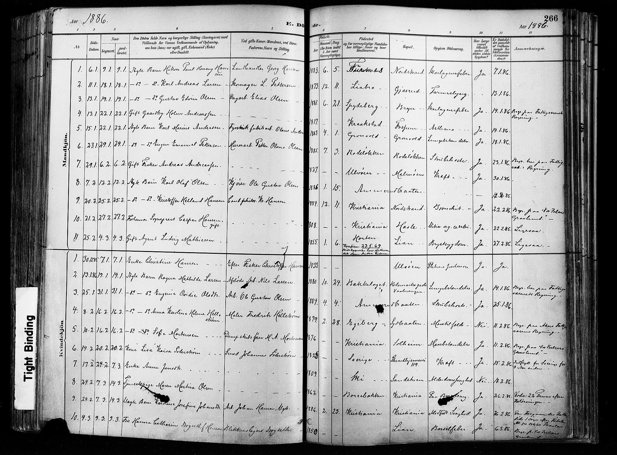 Østre Aker prestekontor Kirkebøker, SAO/A-10840/F/Fa/L0008: Parish register (official) no. I 8, 1883-1894, p. 266