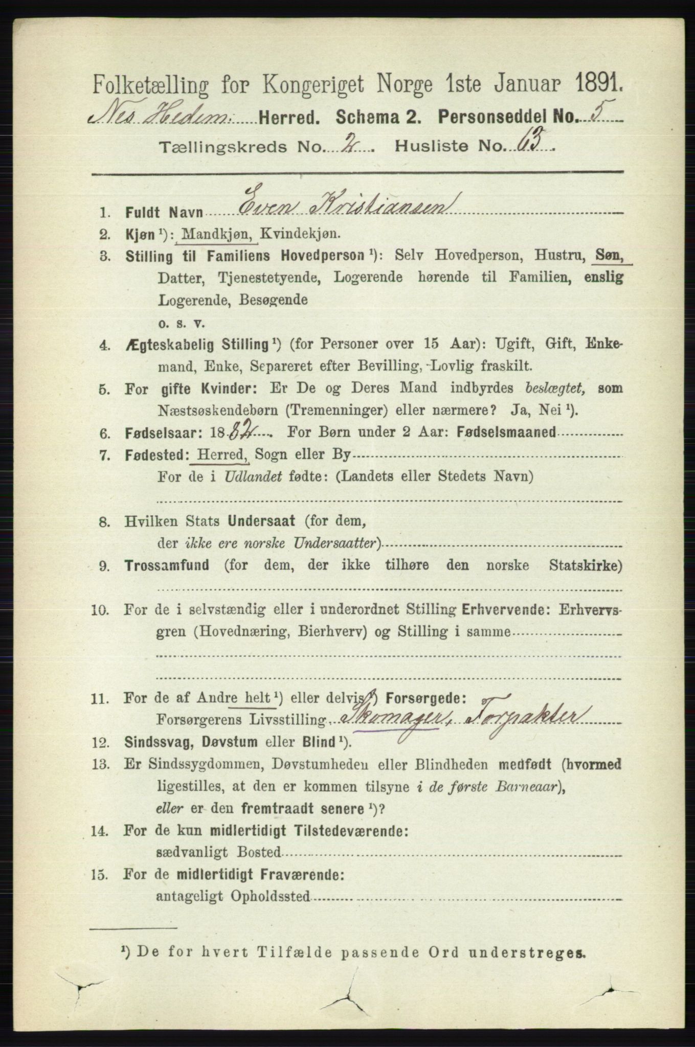 RA, 1891 census for 0411 Nes, 1891, p. 1513