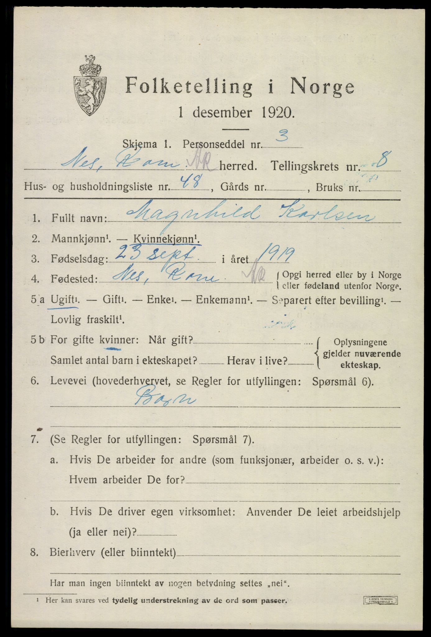 SAO, 1920 census for Nes, 1920, p. 9916