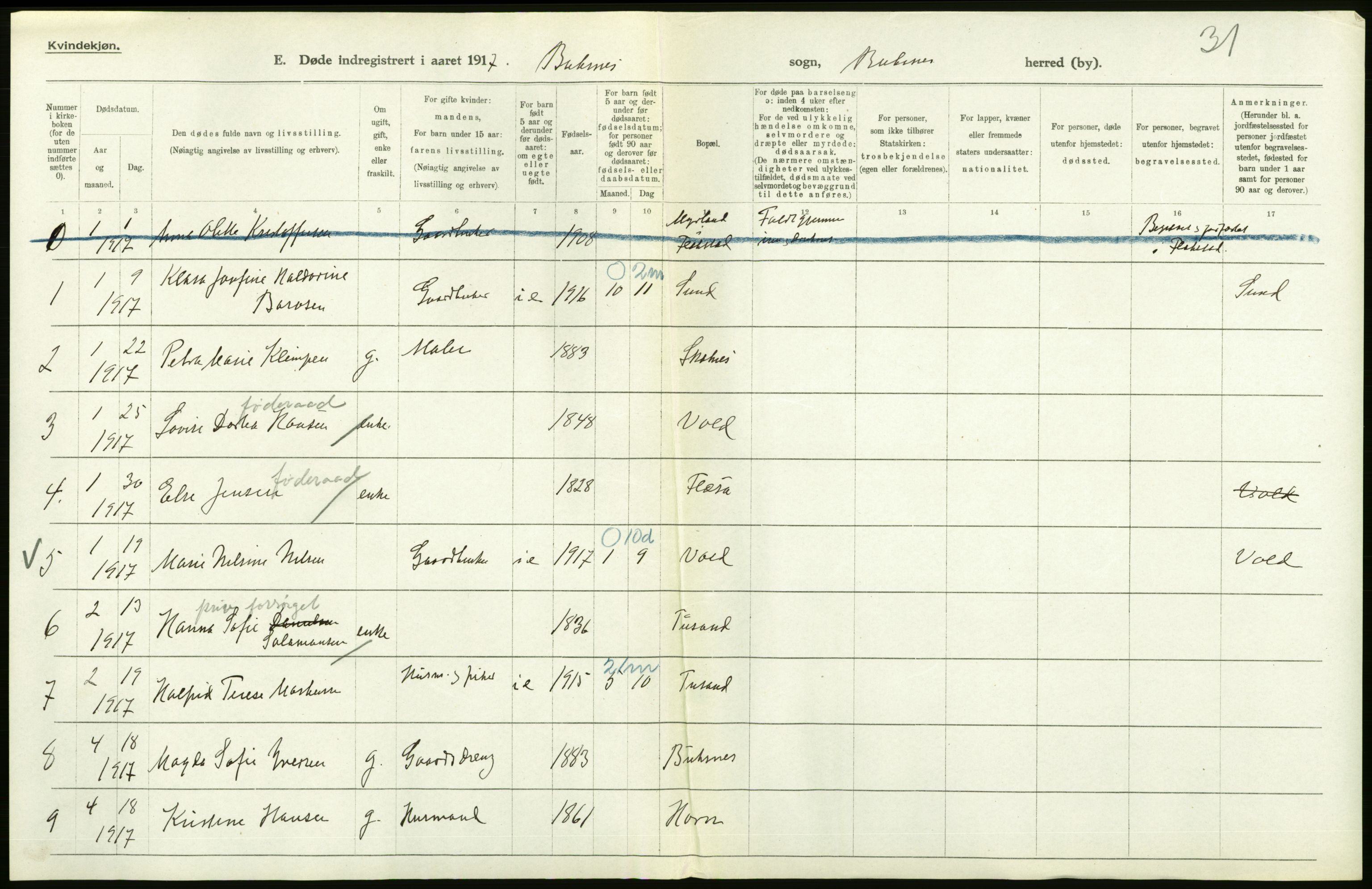 Statistisk sentralbyrå, Sosiodemografiske emner, Befolkning, AV/RA-S-2228/D/Df/Dfb/Dfbg/L0052: Nordlands amt: Døde. Bygder og byer., 1917, p. 54