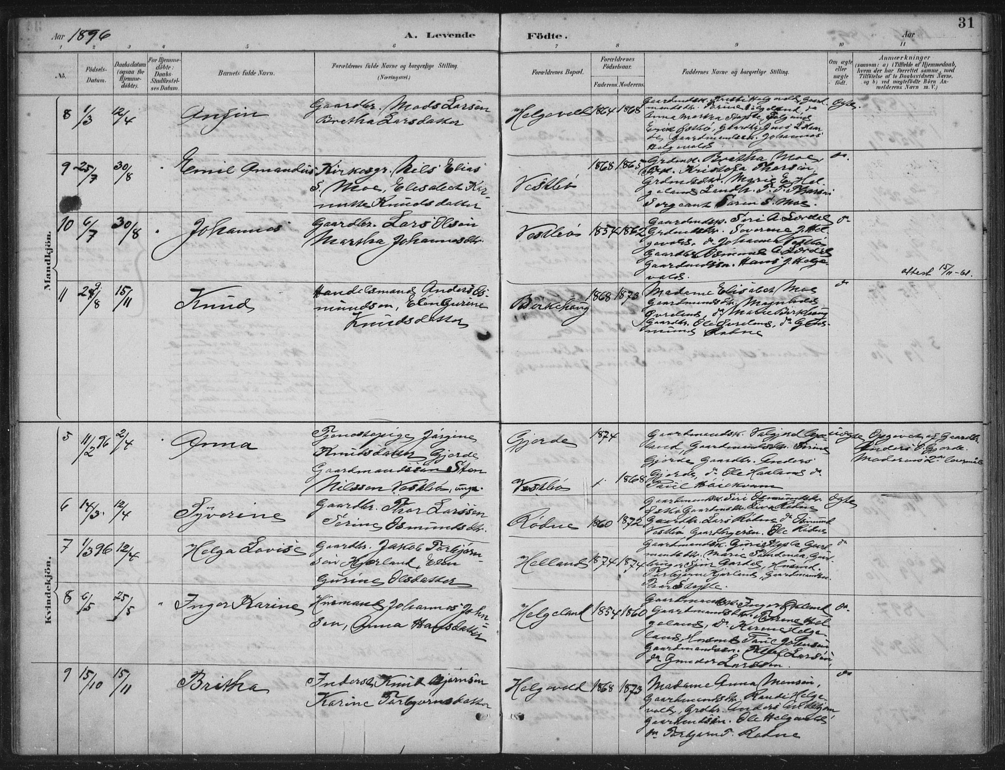 Vikedal sokneprestkontor, AV/SAST-A-101840/01/IV: Parish register (official) no. A 11, 1884-1933, p. 31