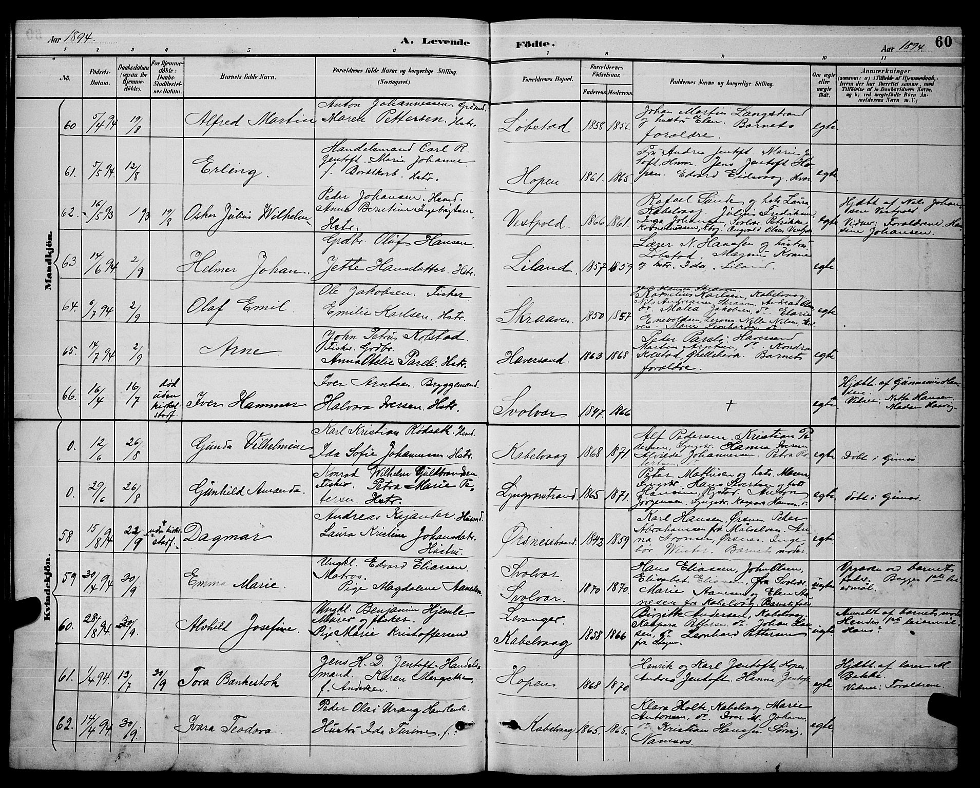 Ministerialprotokoller, klokkerbøker og fødselsregistre - Nordland, AV/SAT-A-1459/874/L1077: Parish register (copy) no. 874C06, 1891-1900, p. 60