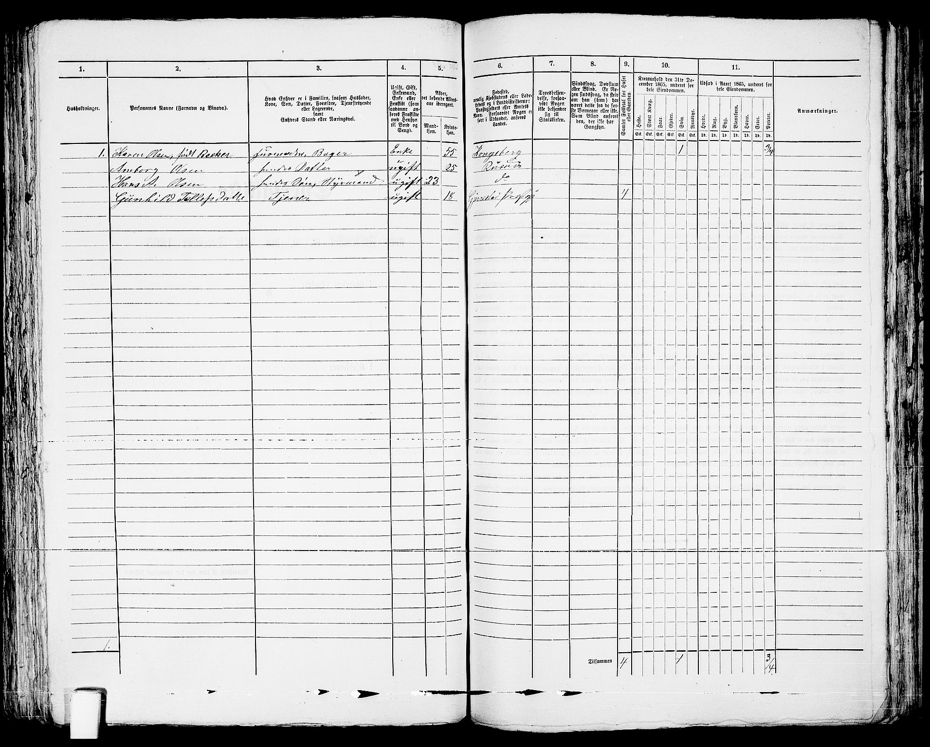 RA, 1865 census for Risør/Risør, 1865, p. 248