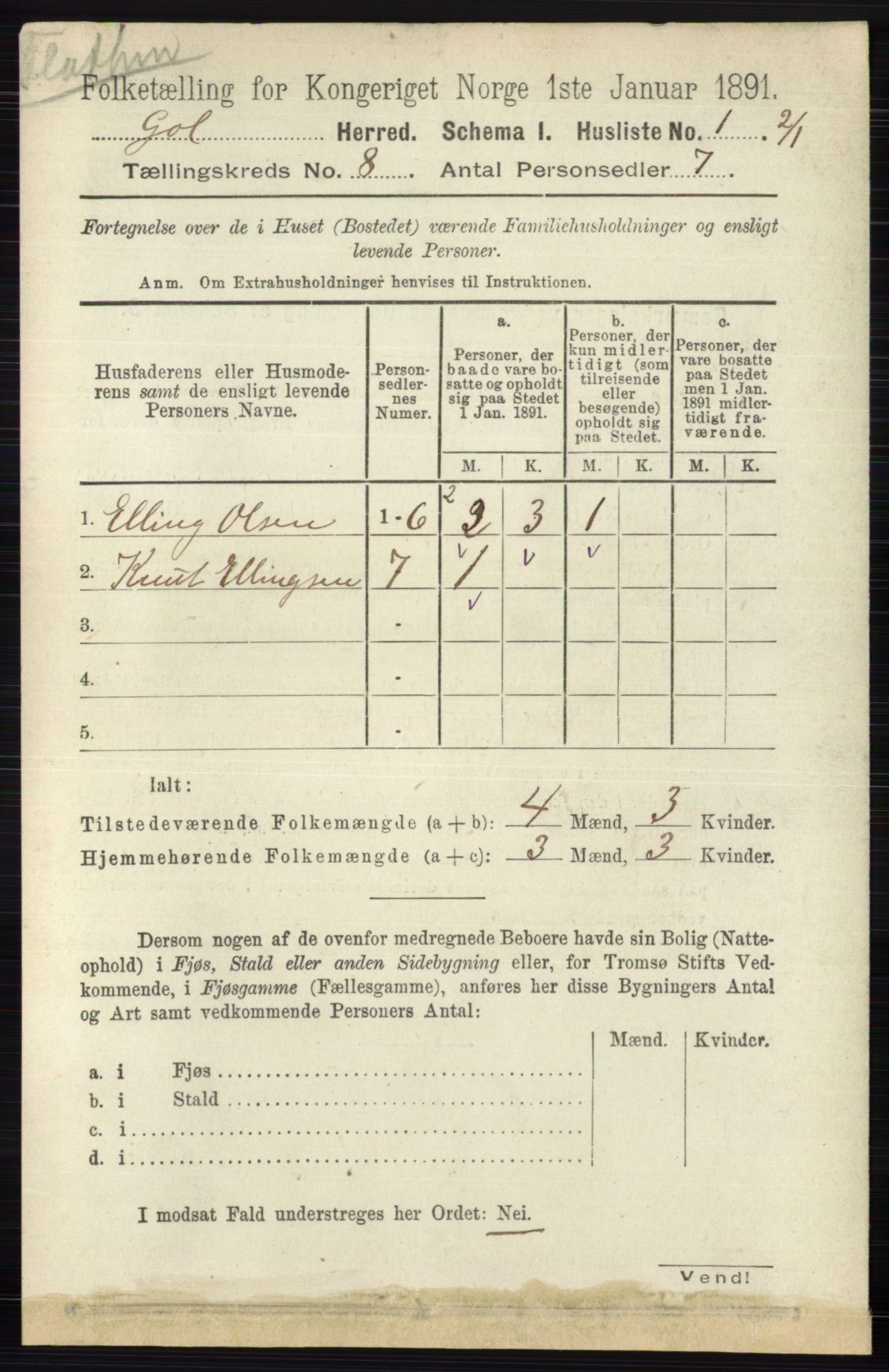 RA, 1891 census for 0617 Gol og Hemsedal, 1891, p. 2982
