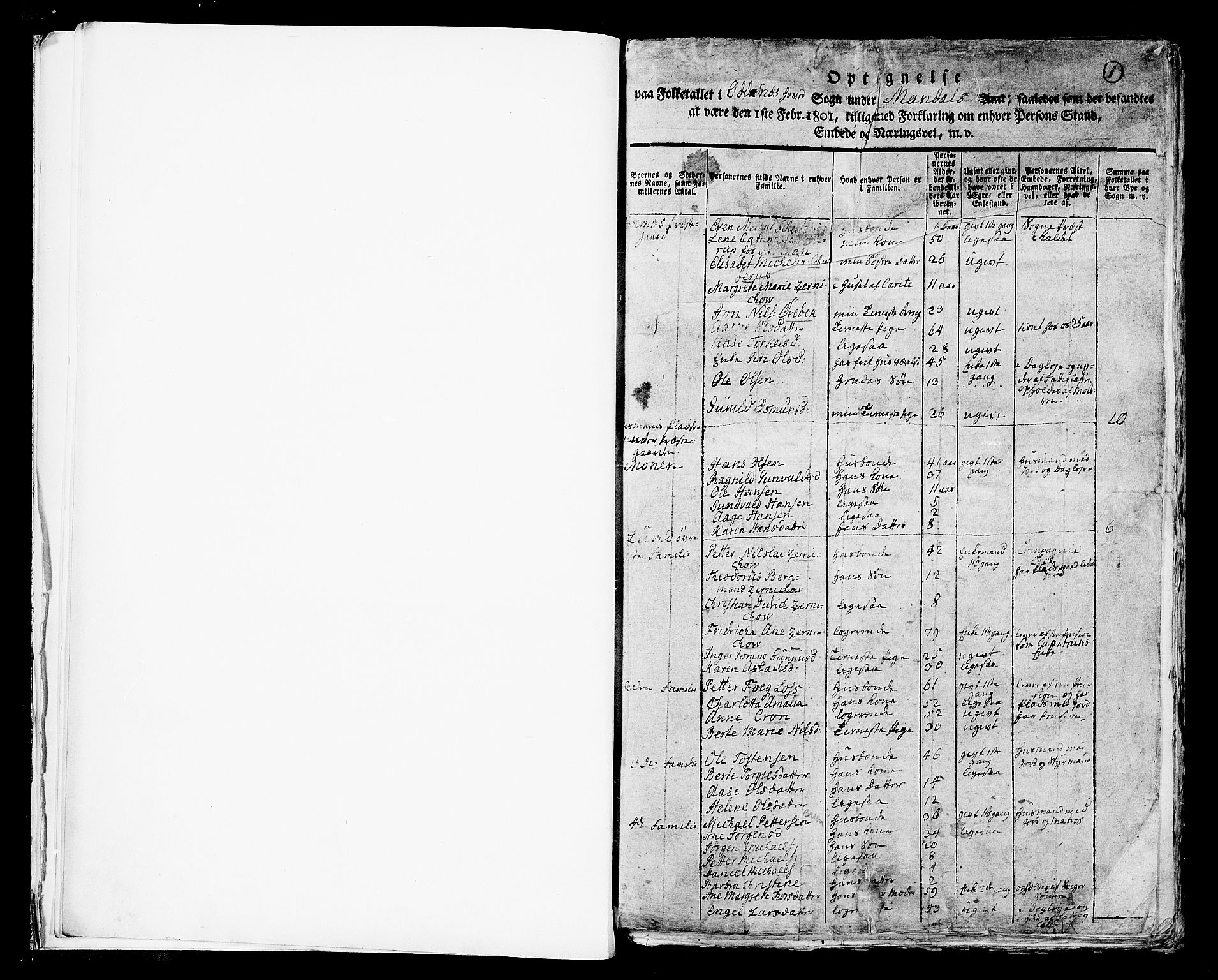 RA, 1801 census for 1012P Oddernes, 1801, p. 1a