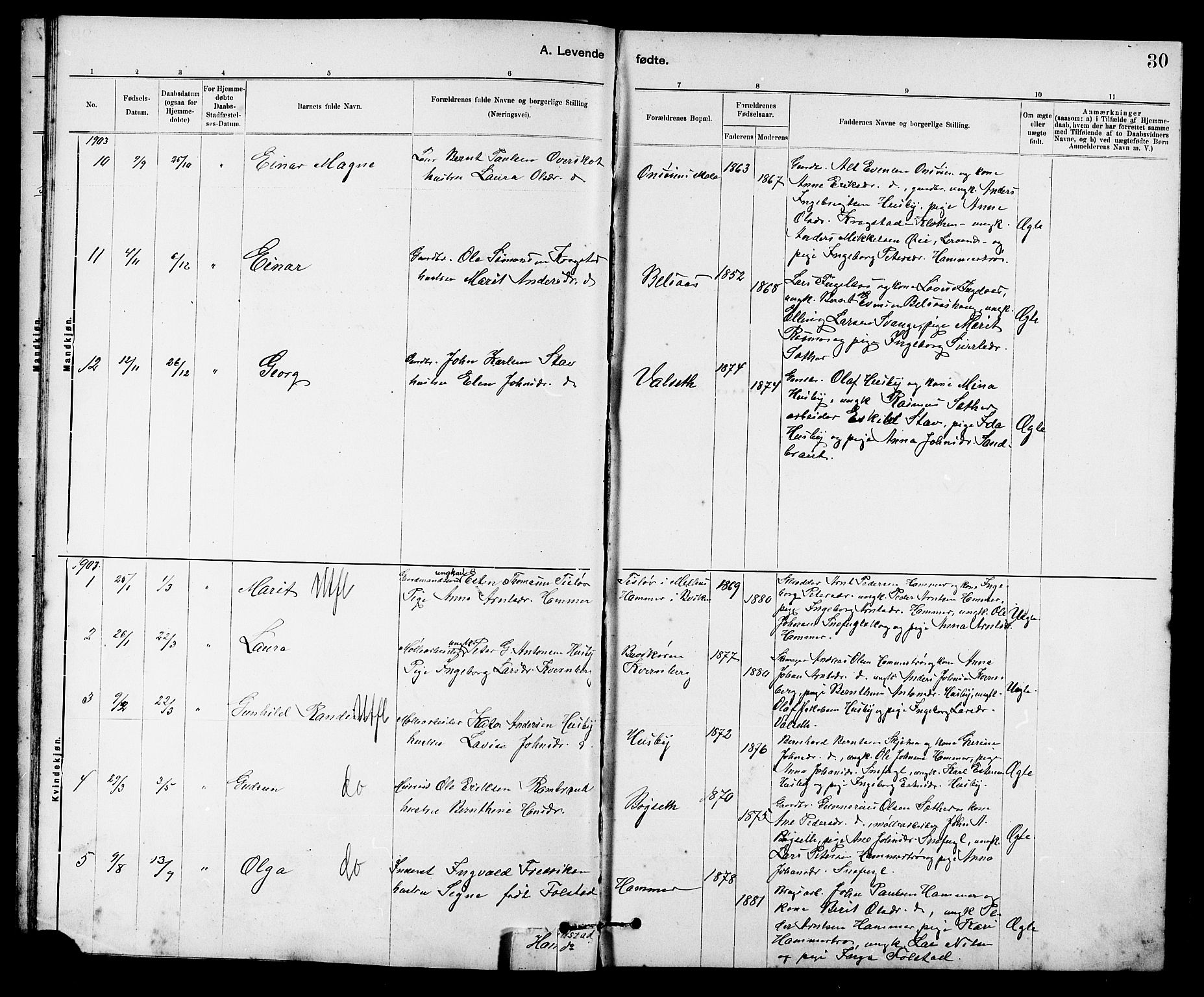 Ministerialprotokoller, klokkerbøker og fødselsregistre - Sør-Trøndelag, SAT/A-1456/666/L0790: Parish register (copy) no. 666C03, 1885-1908, p. 30